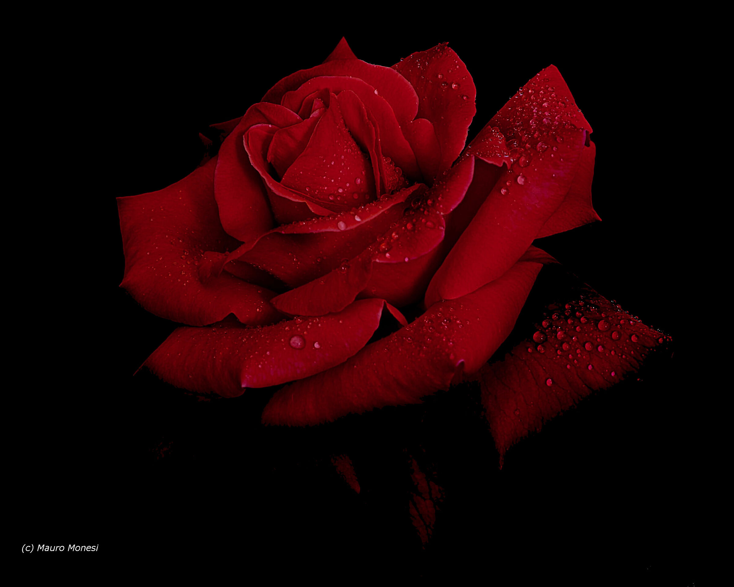 Rouge