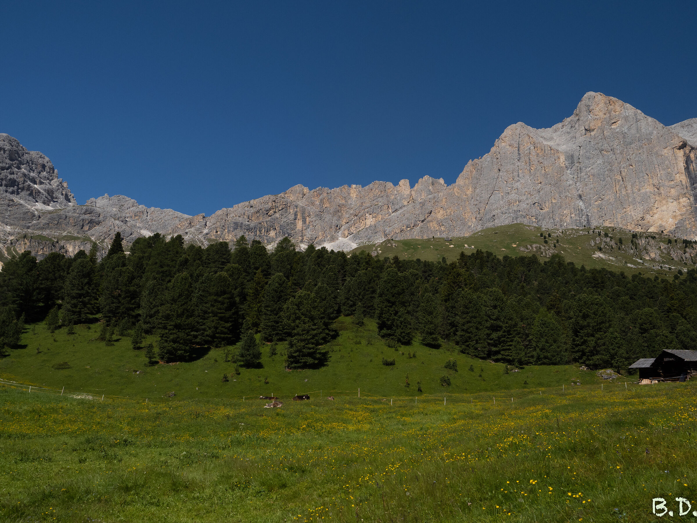 Catinaccio e Torri del Vaiolet