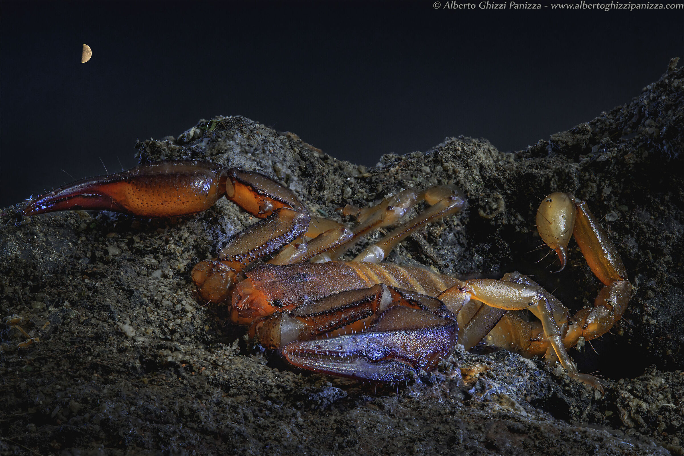 Scorpio and the Moon