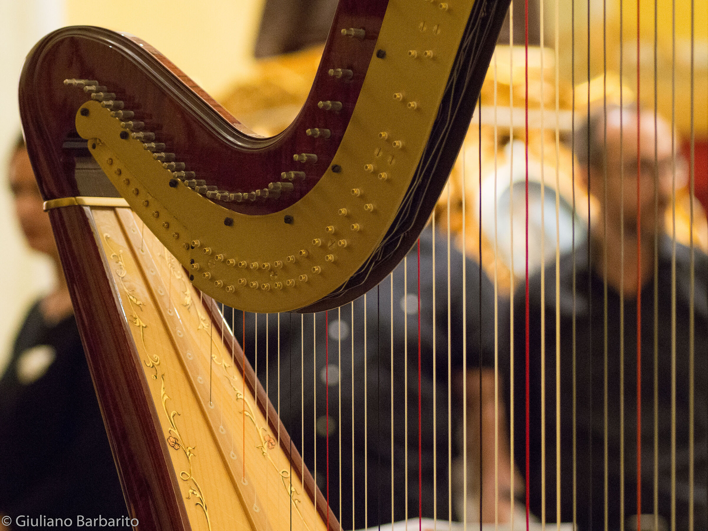 Harp
