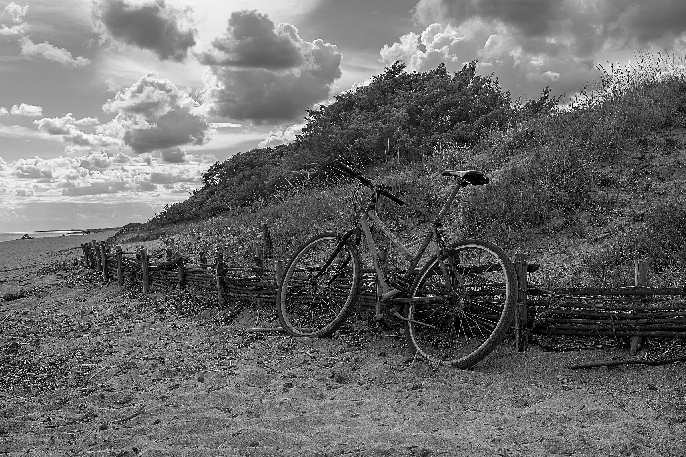 vecchi ricordi quando si andava al mare con la bici
