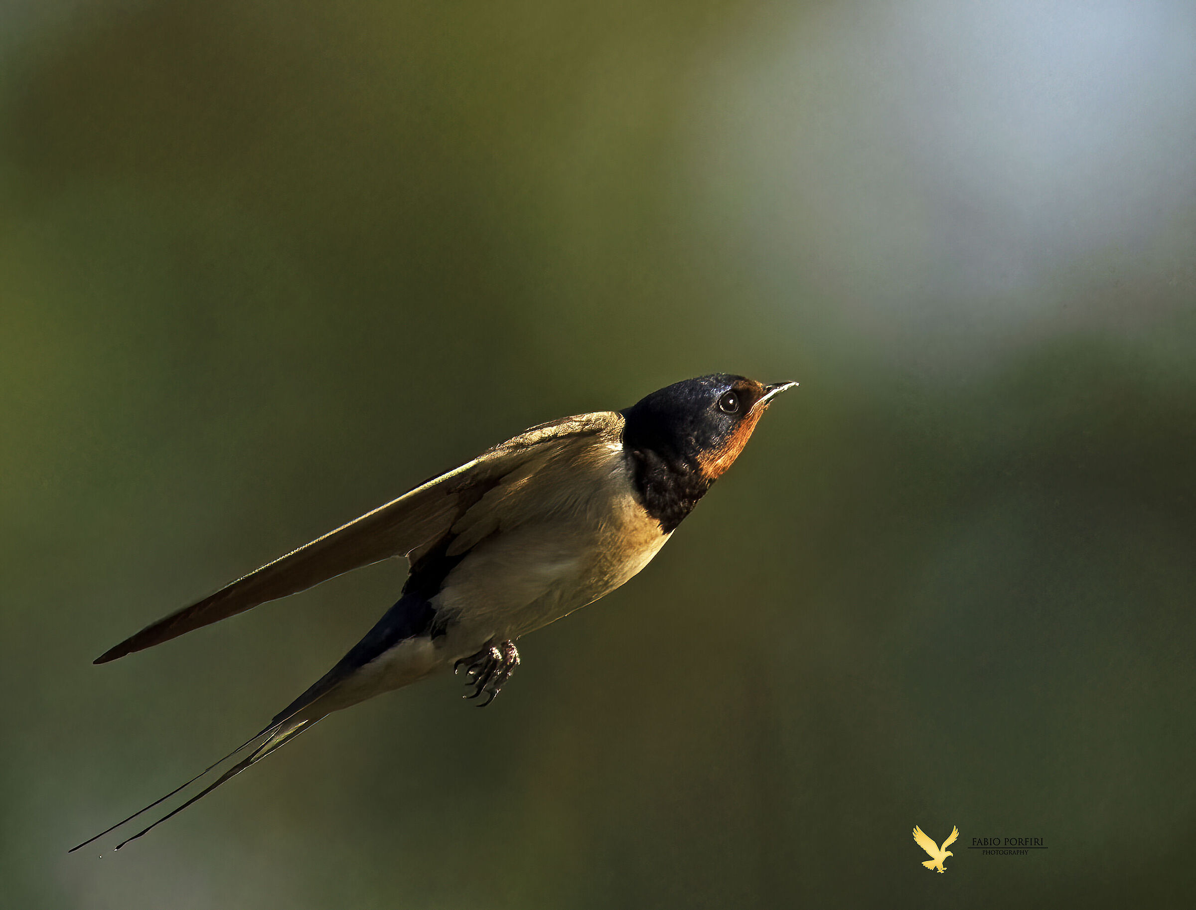 Verso la luce del tramonto