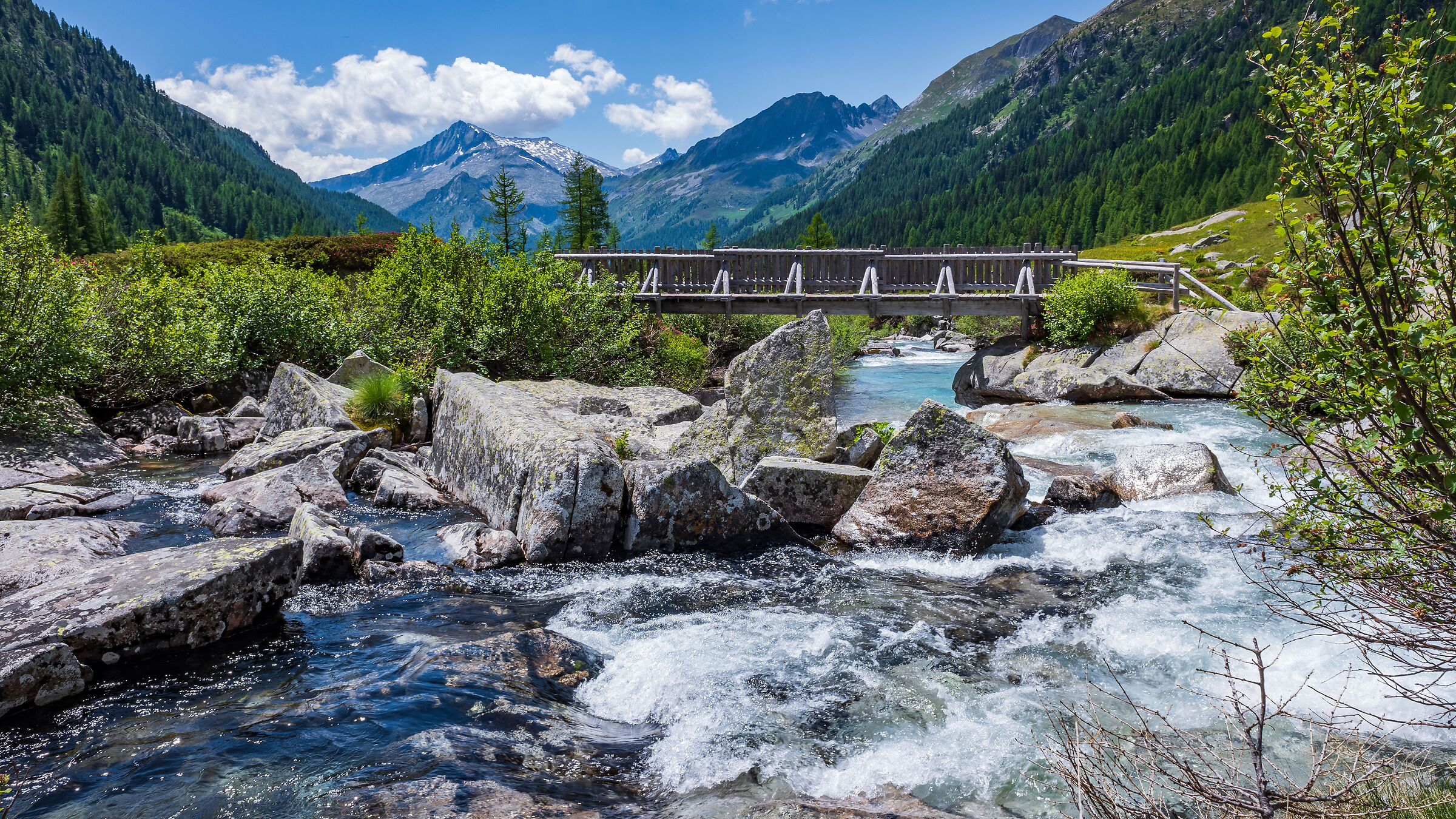 Start the race to the sea