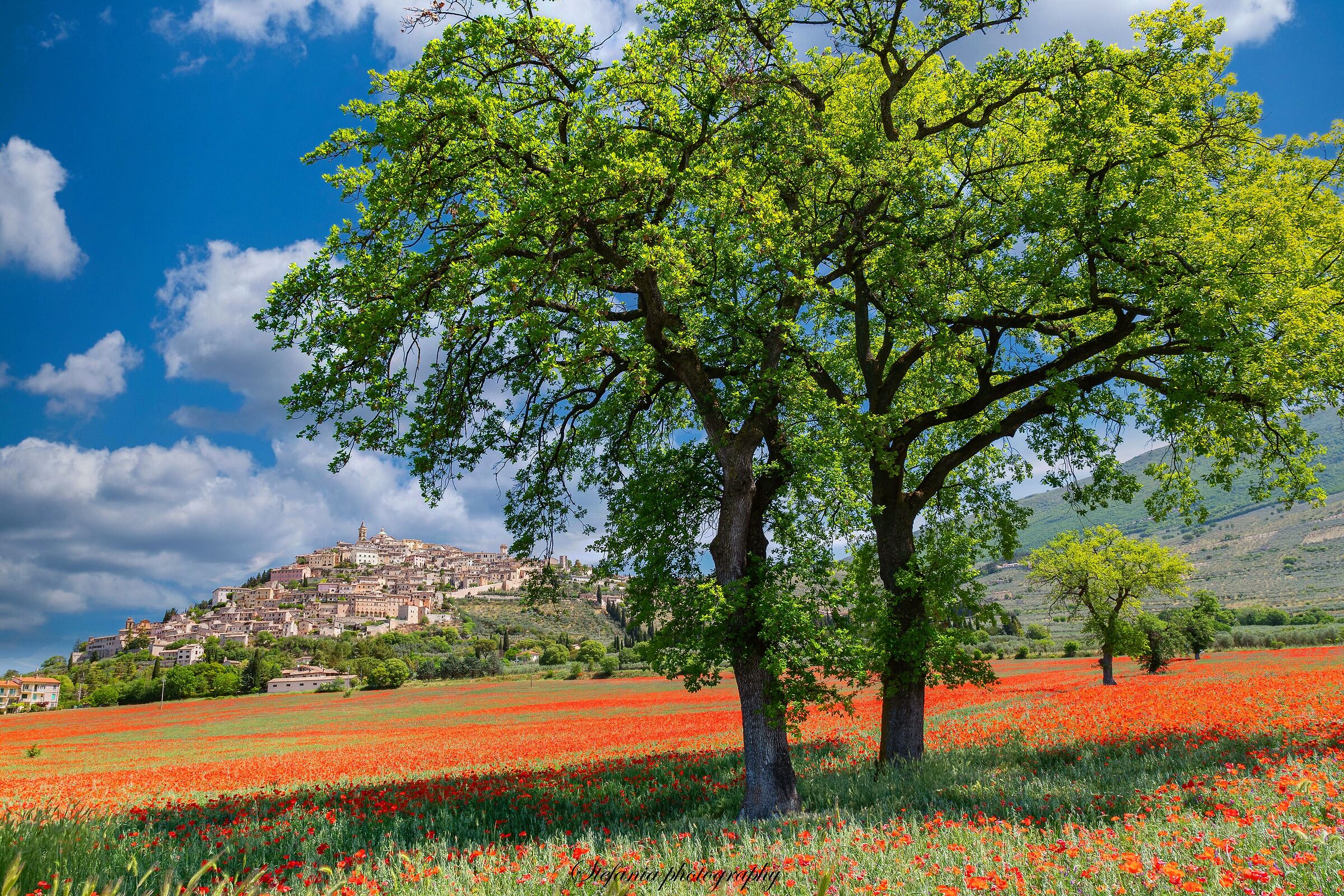 panorami (Trevi- Umbria)