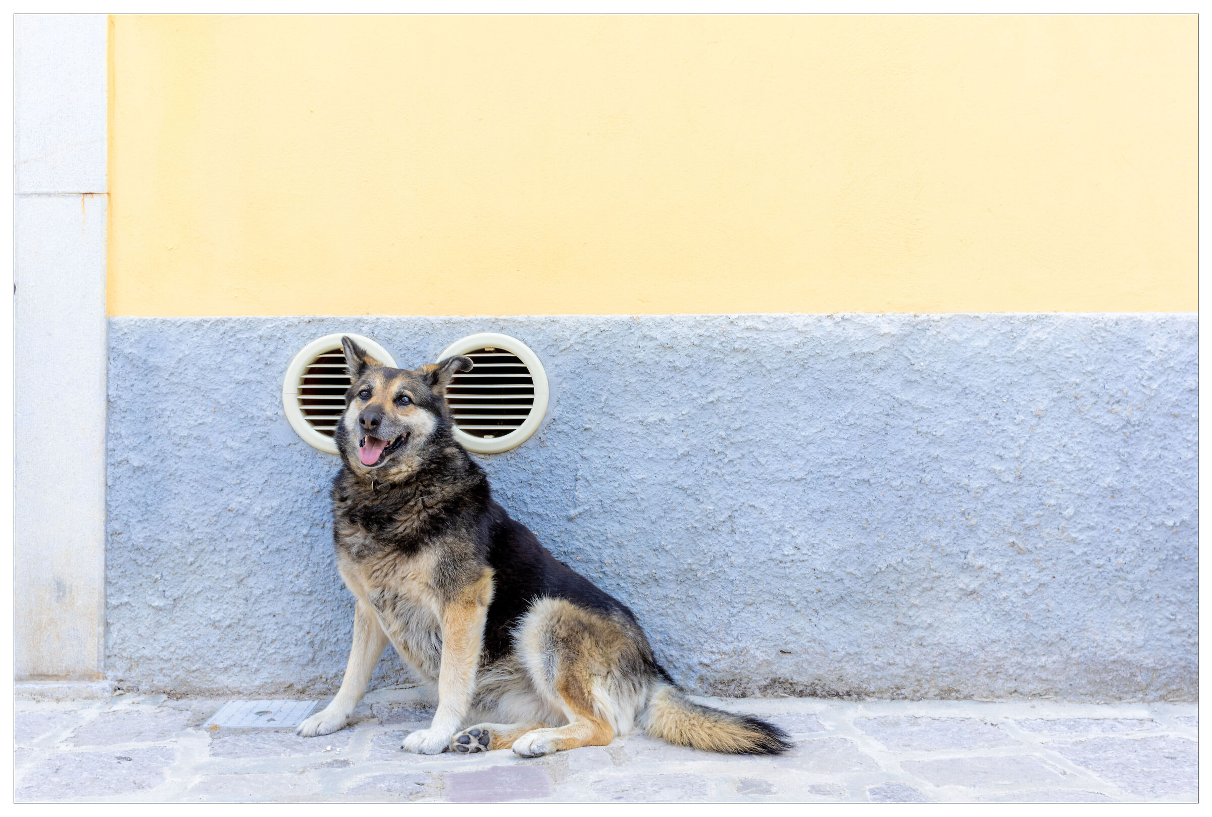 The Mickey Mouse inside me