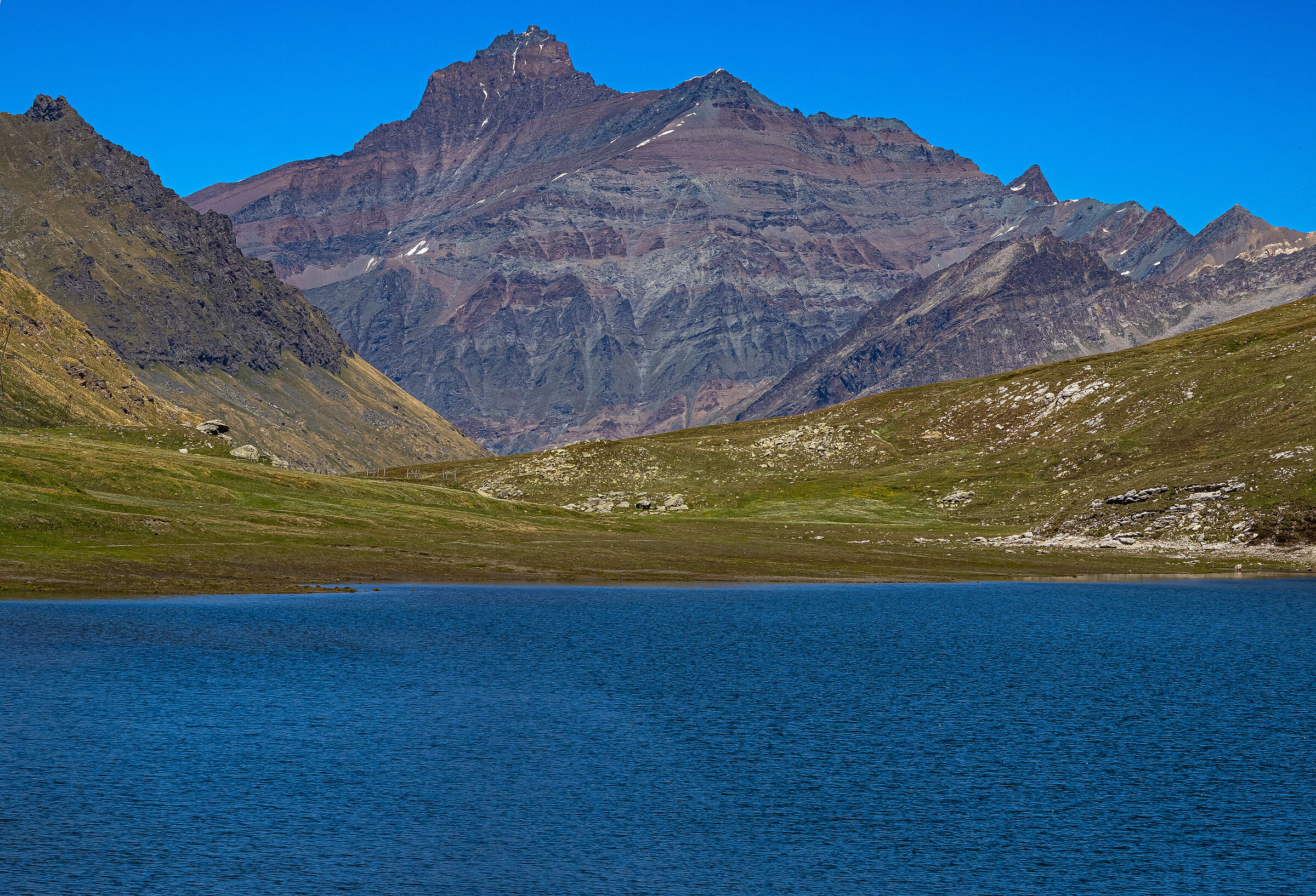 in search of fresh .....