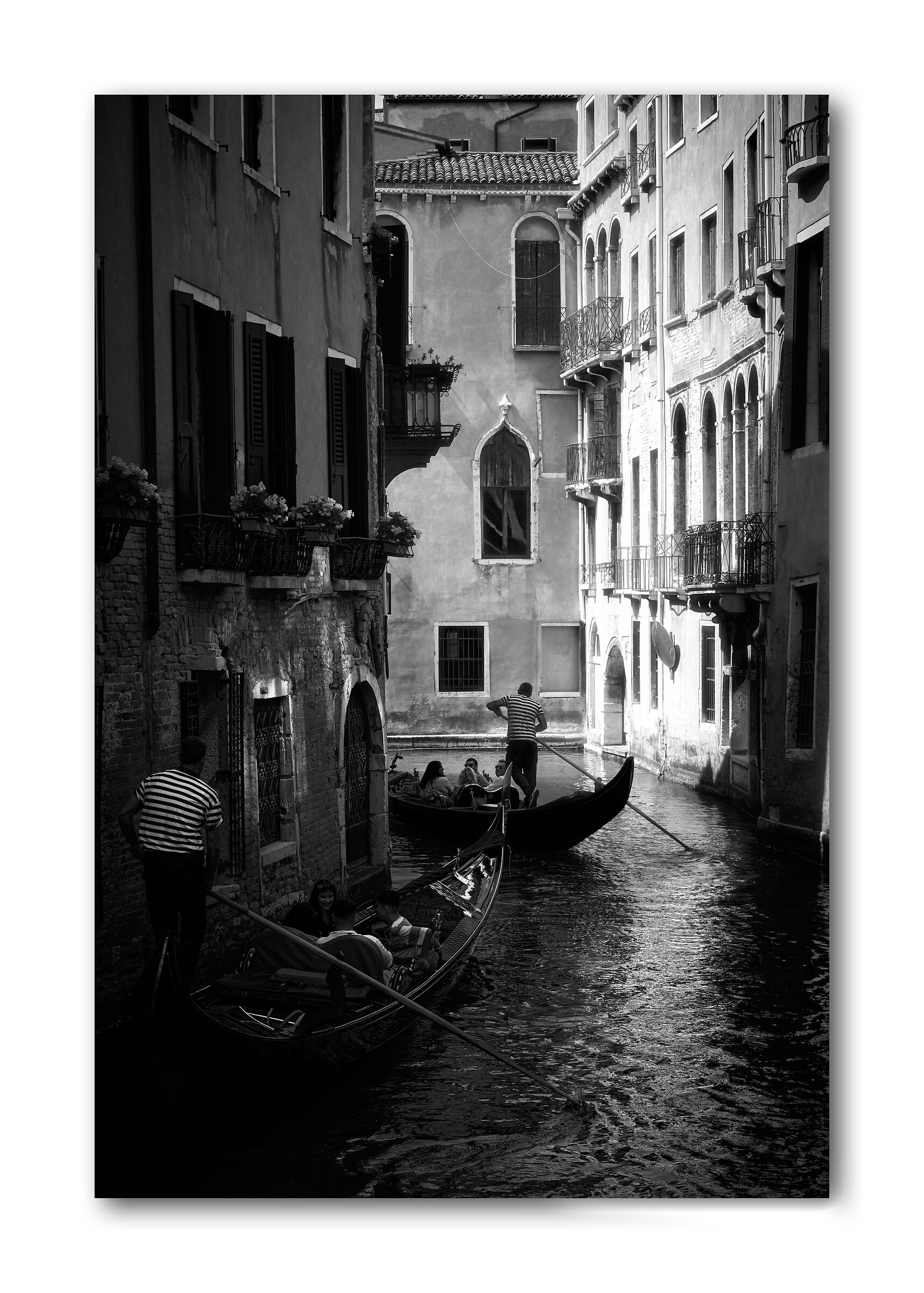 Venice bn