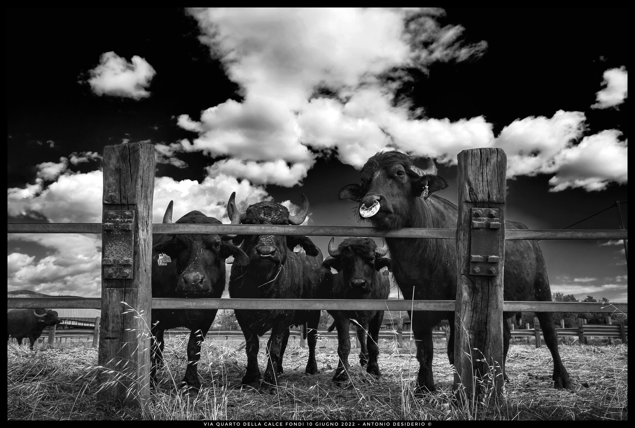 Under observation....