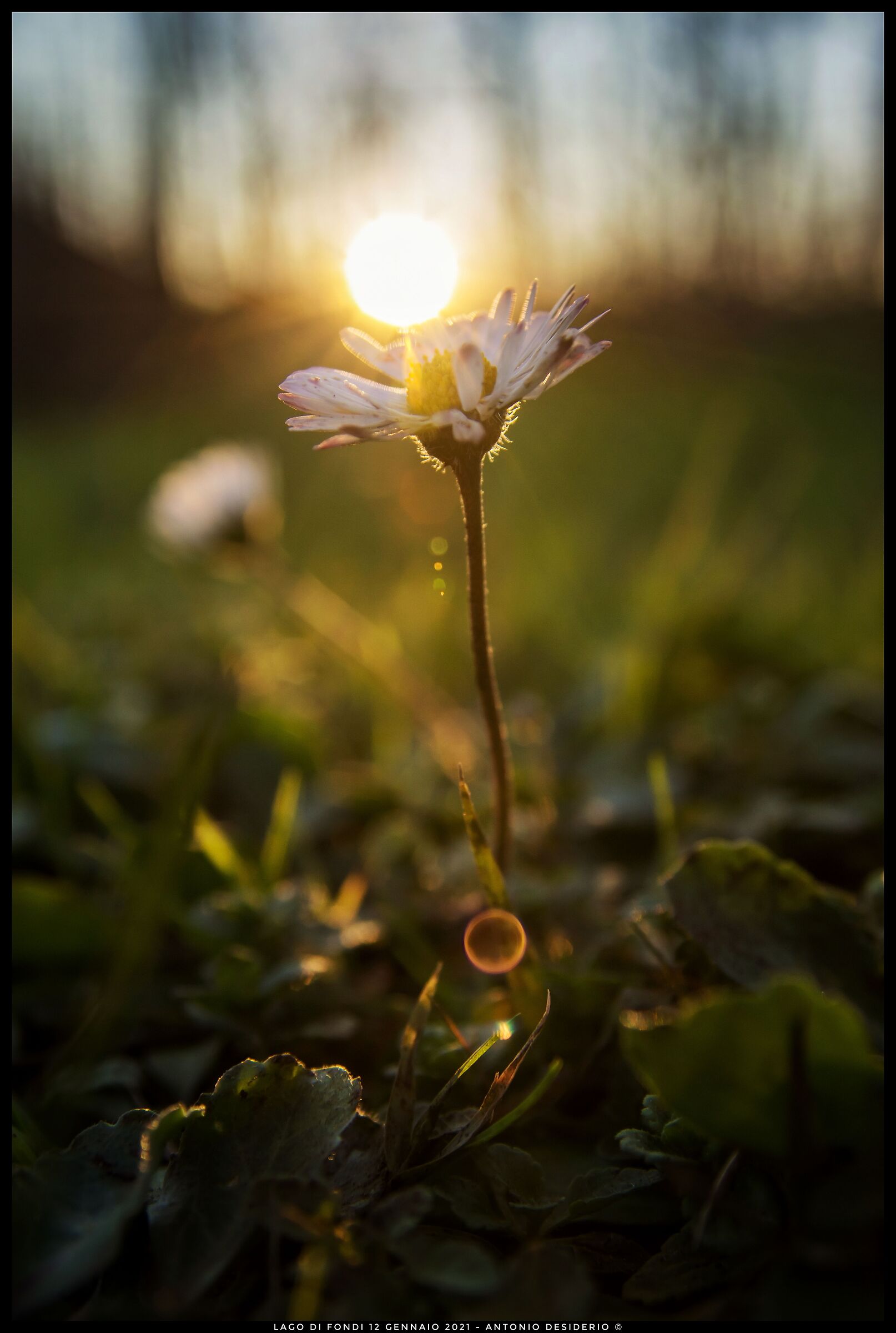 Il sole bacia i belli