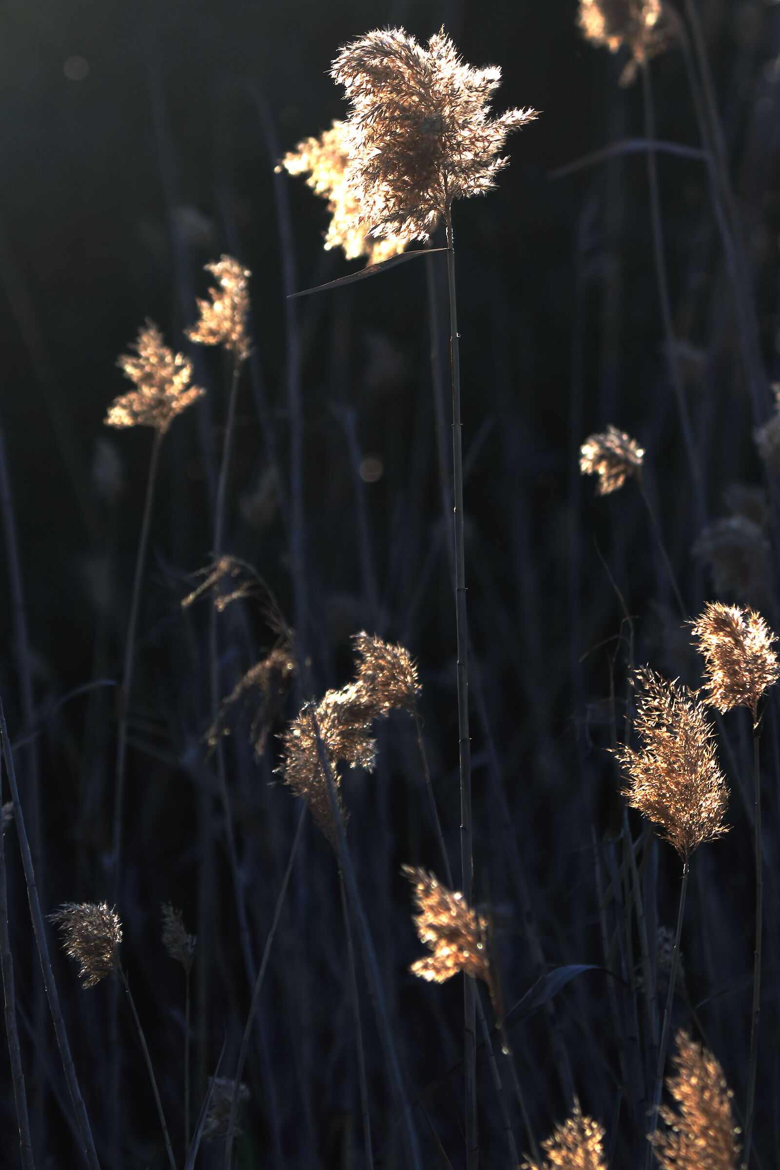 Untitled Photo
