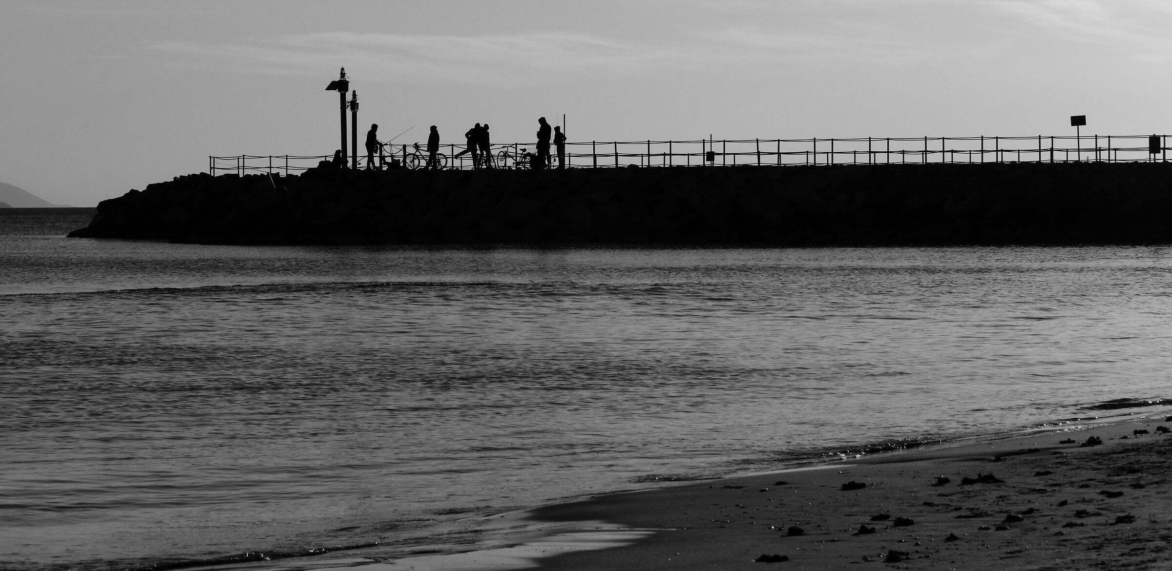 Untitled Photo