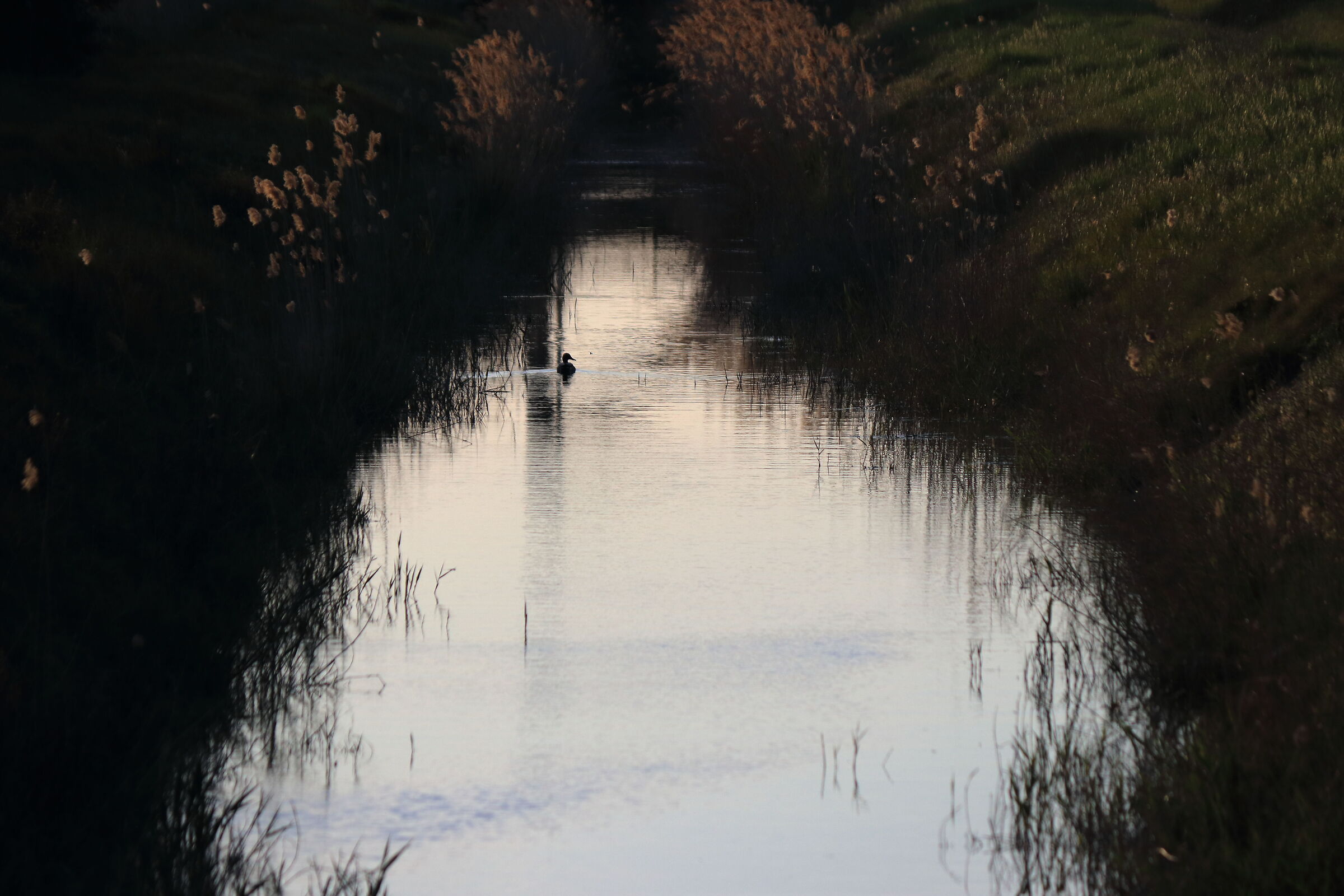 Untitled Photo
