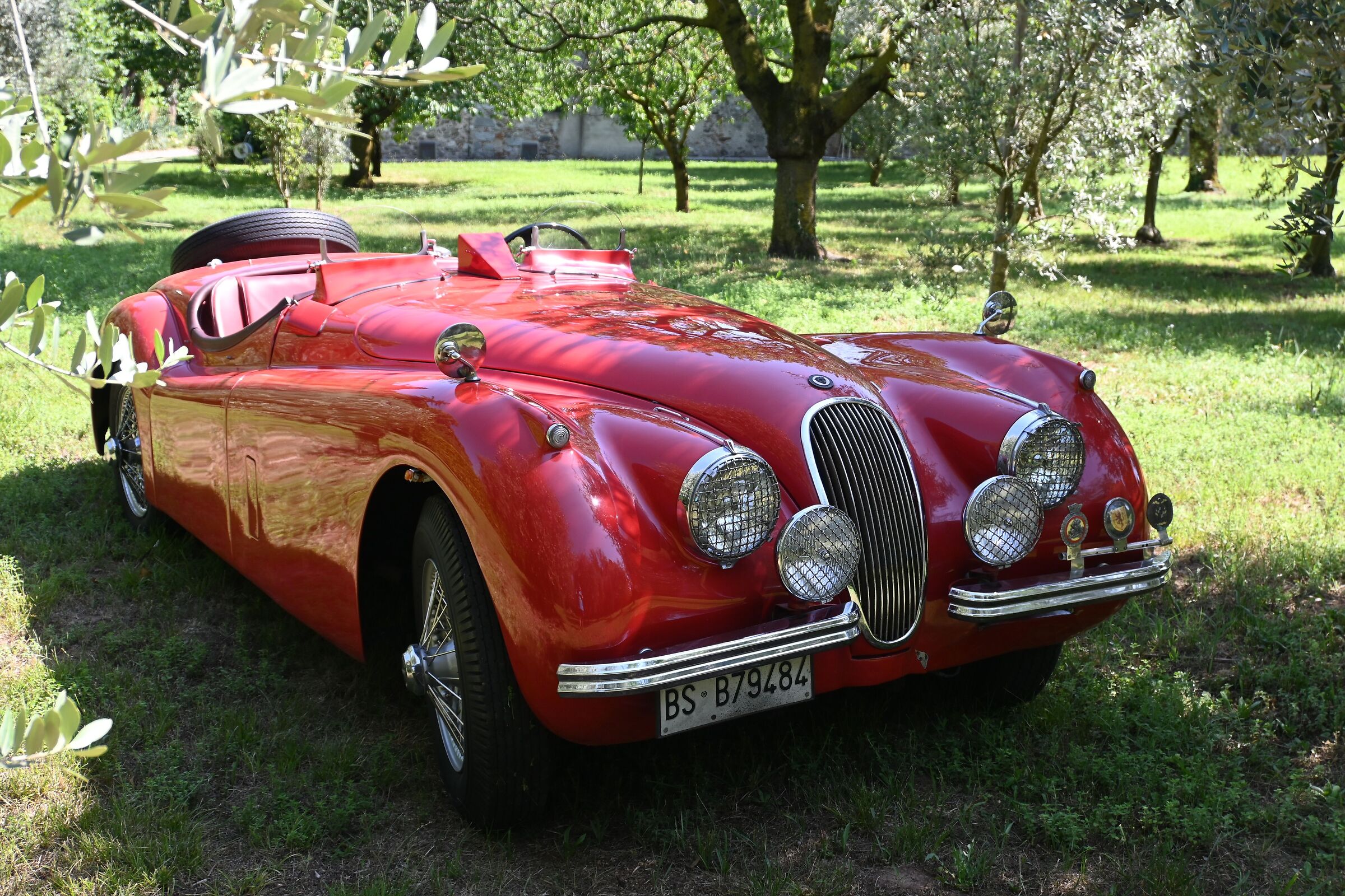 Her majesty Jaguar XK 120 1953