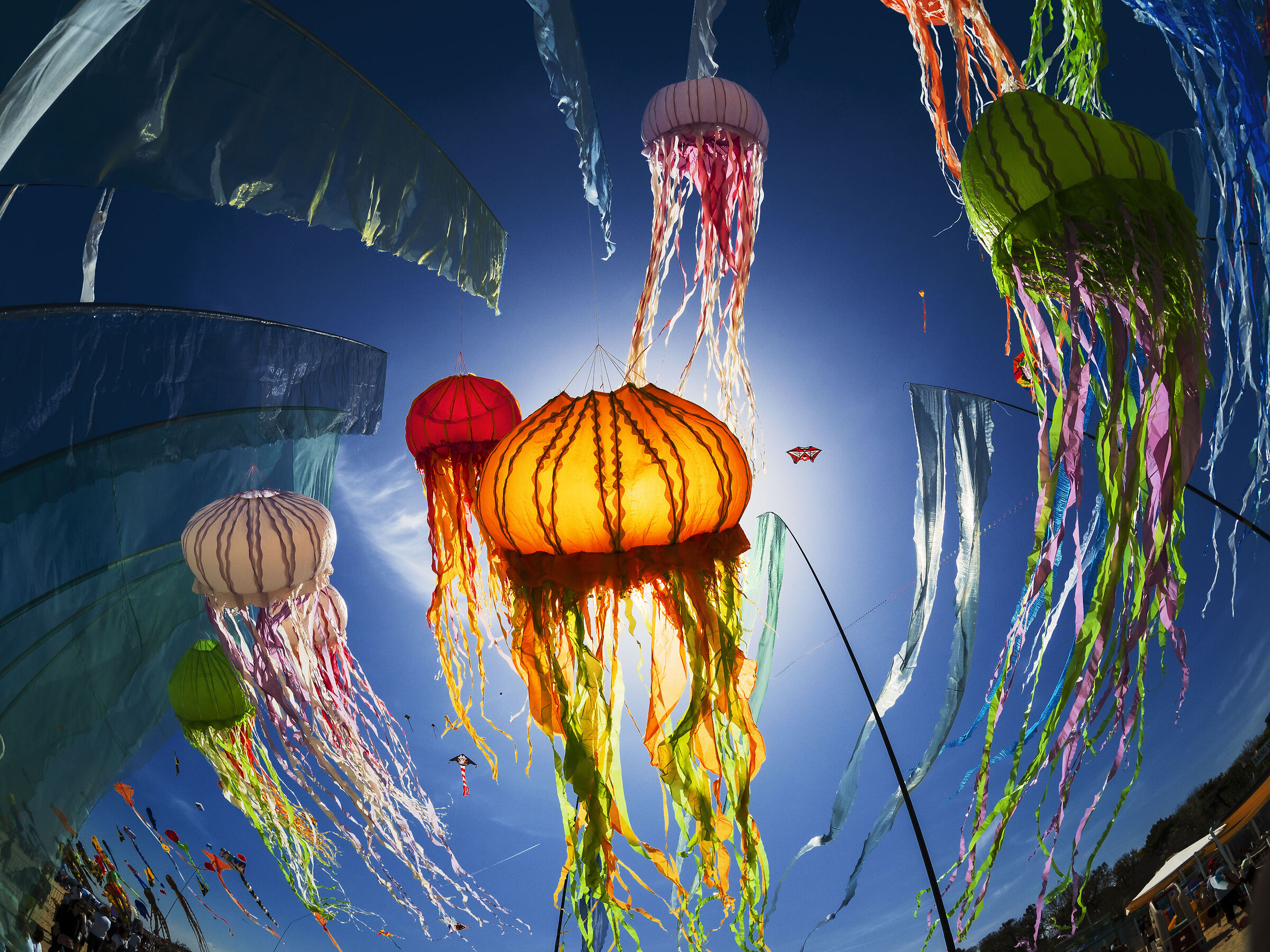 Flying jellyfish