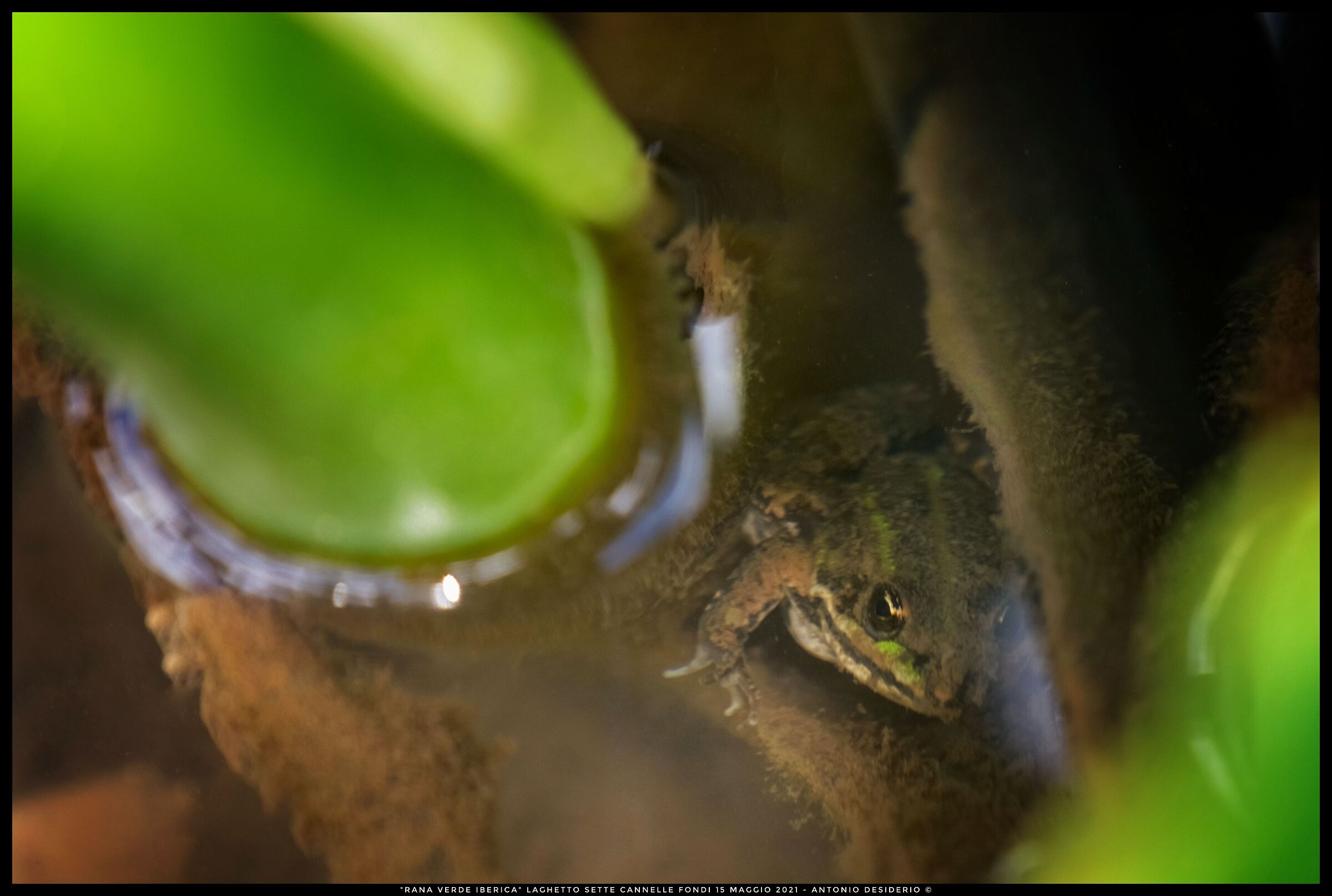 Under the surface of the water