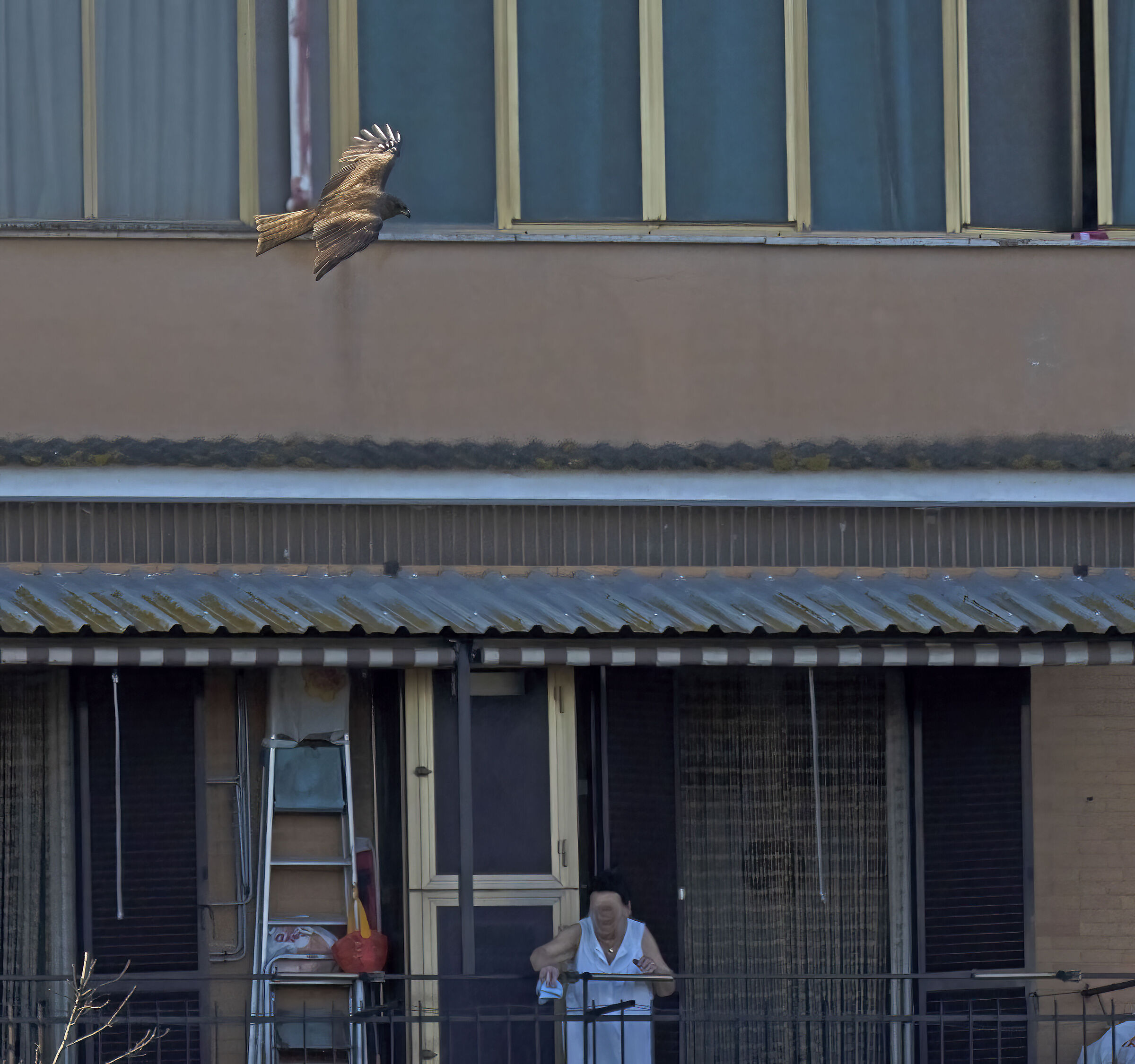 Signora ..cerco lavoro ..mi adatto a tutto..