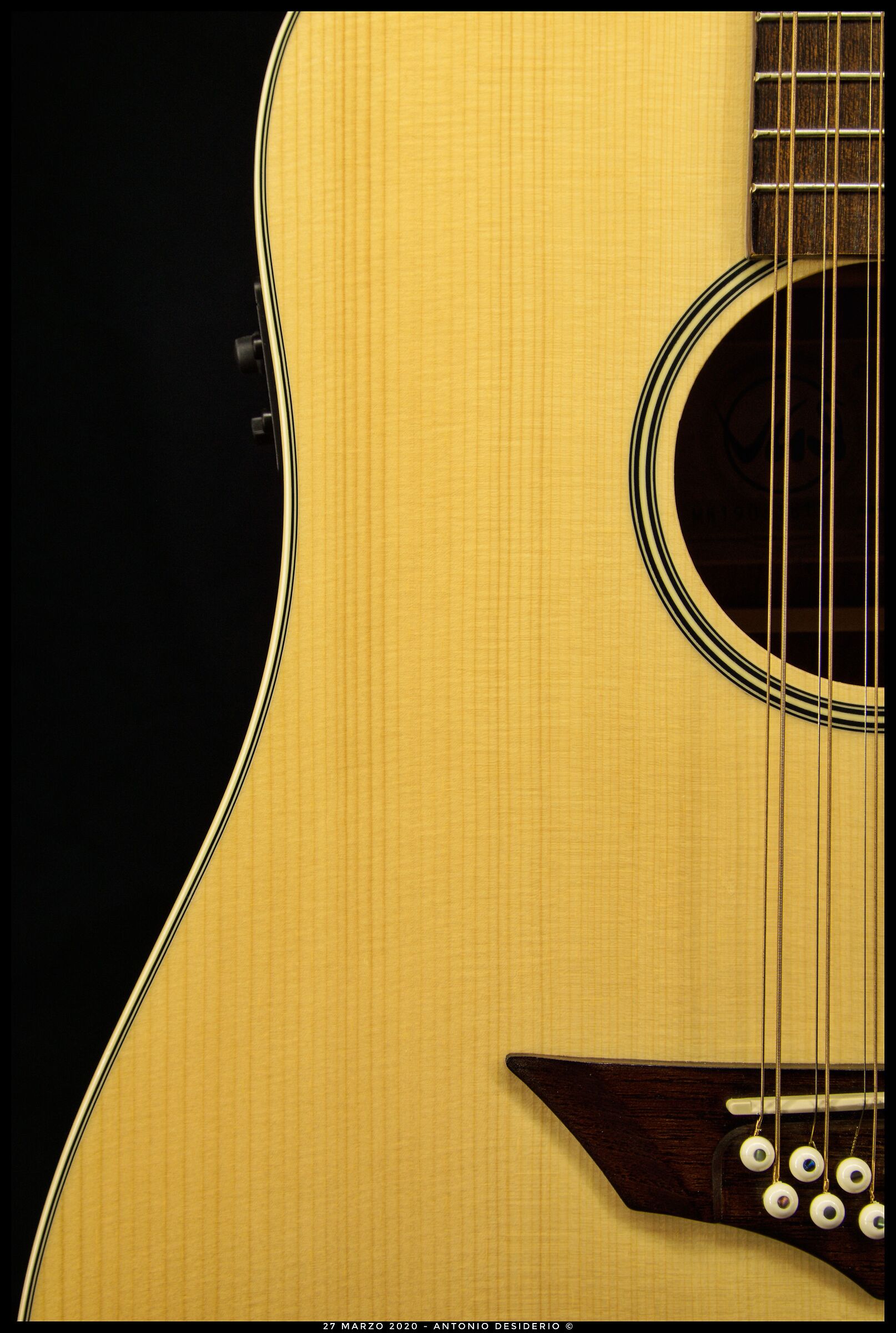 Vgs 12 strings