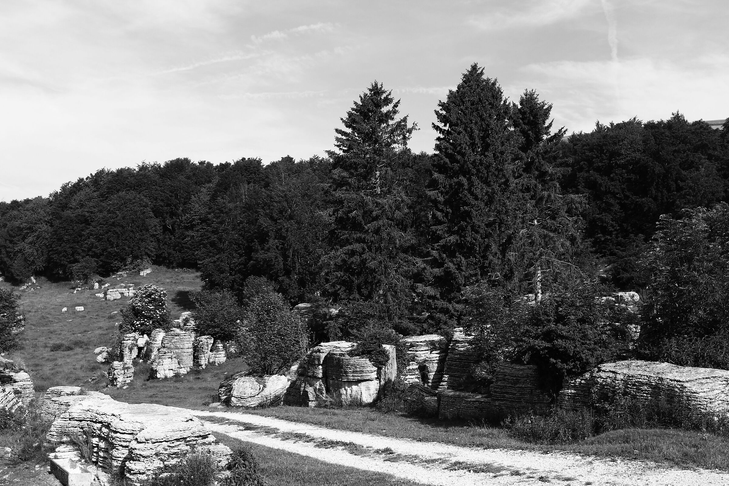 The Valley of the Sphinxes