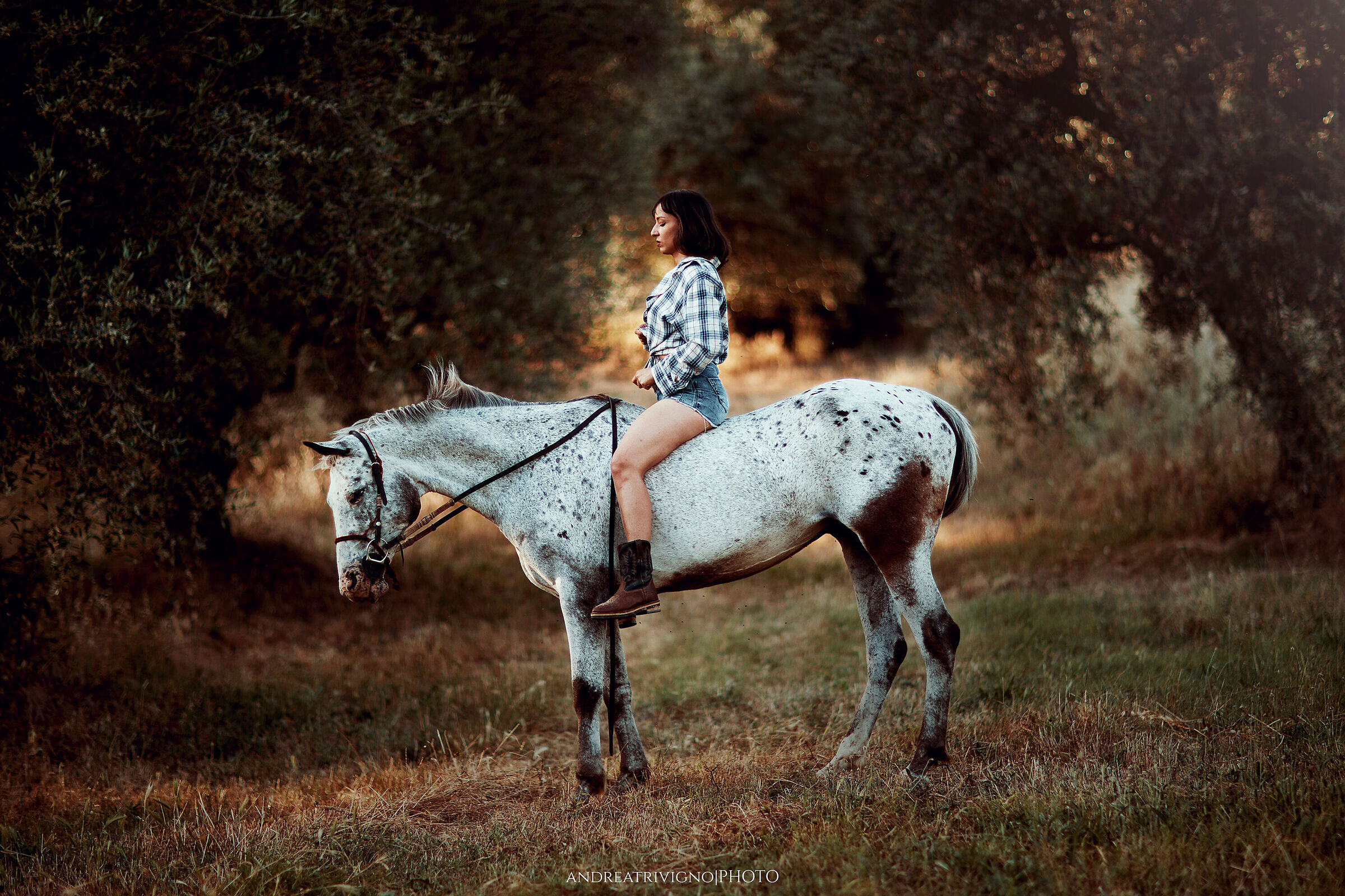 Silvia - Free 13