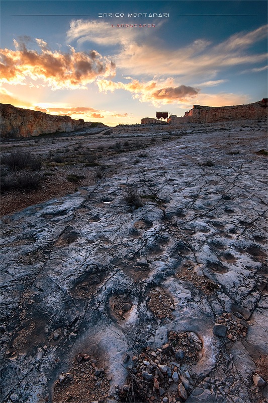 Dinosaurs' footprints