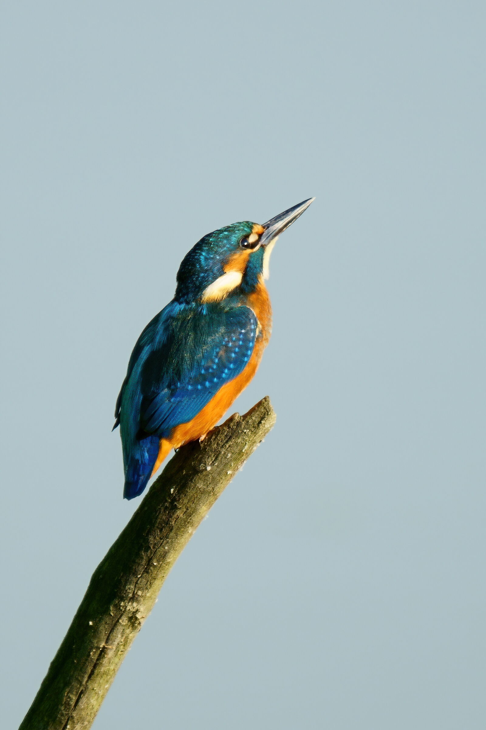 Ready to take off, towards infinity and beyond!