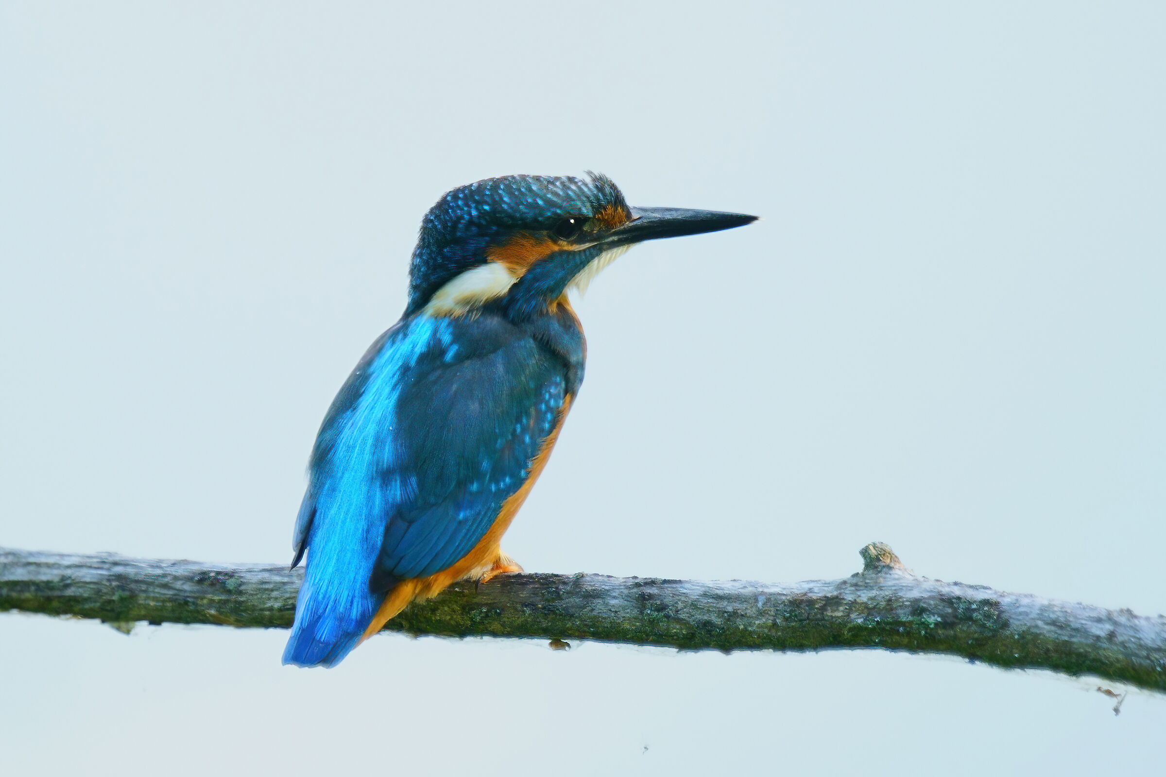 Someone is photographing me!