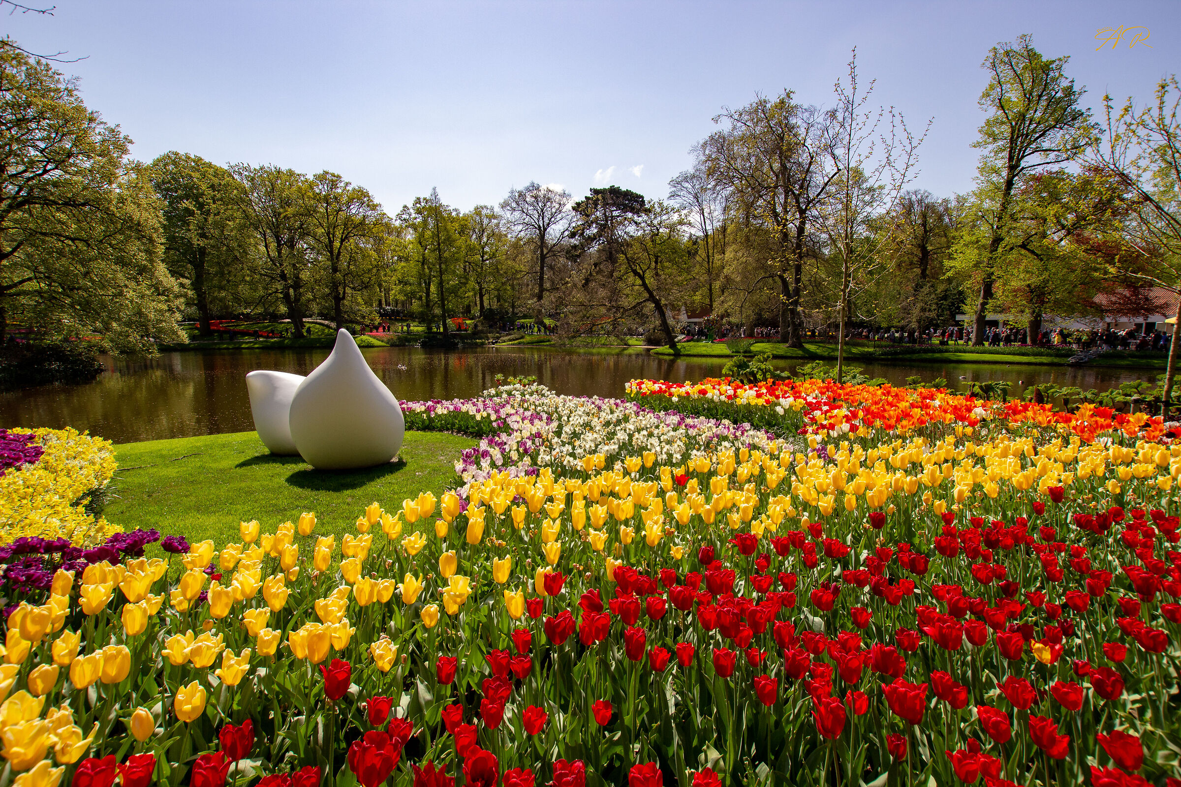 Il trionfo dei Tulipani