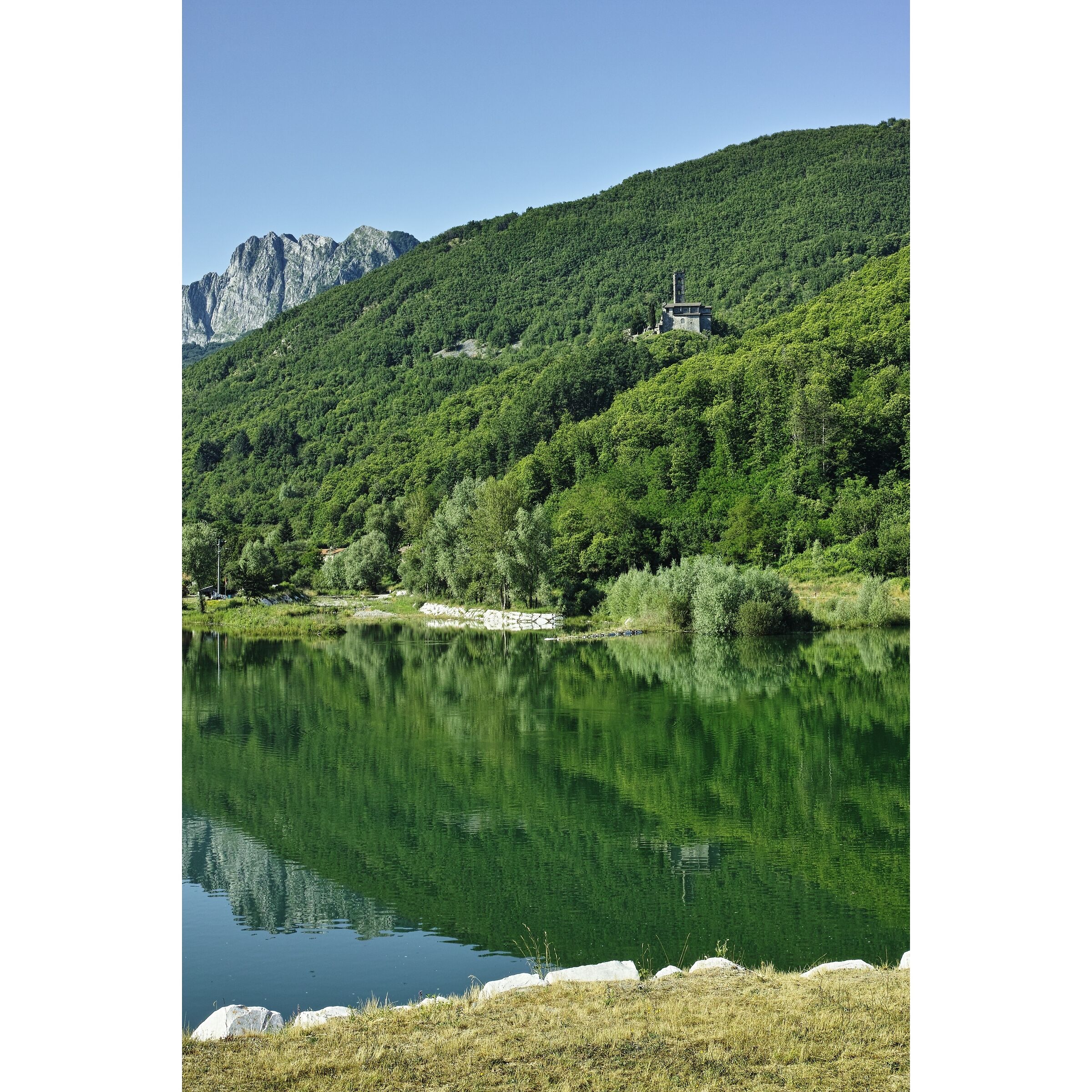 Untitled Photo