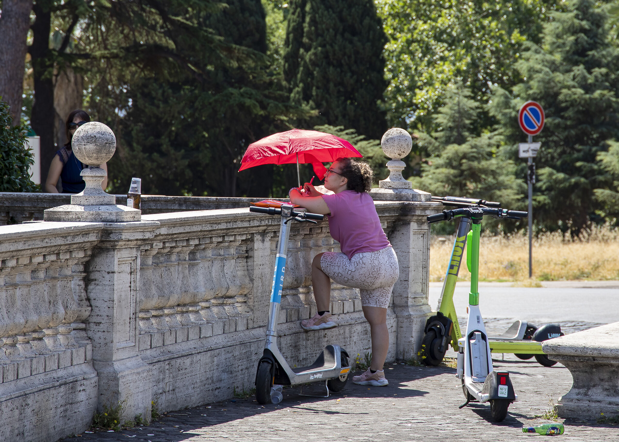 Dedicated to the study...