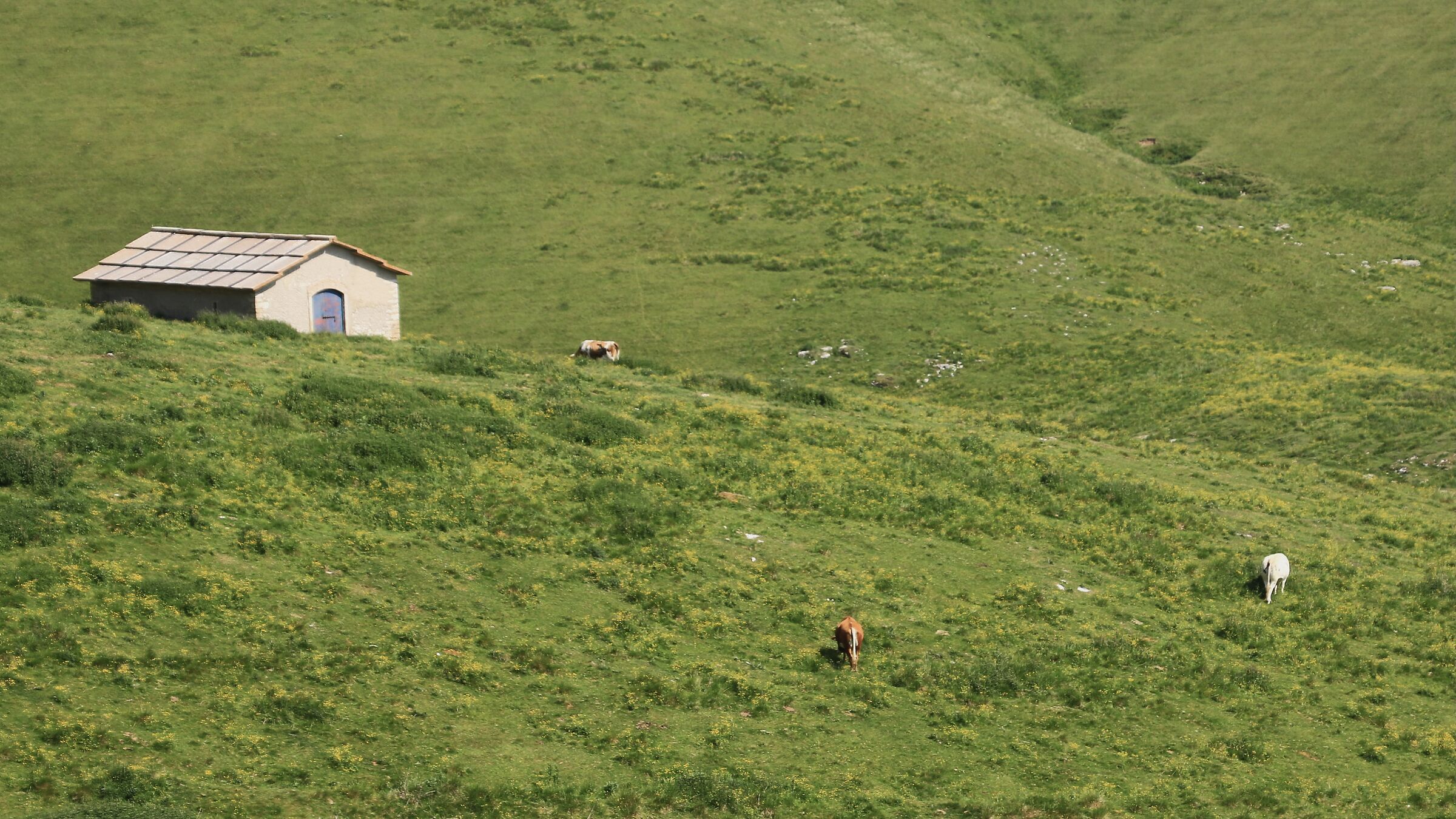 Farm