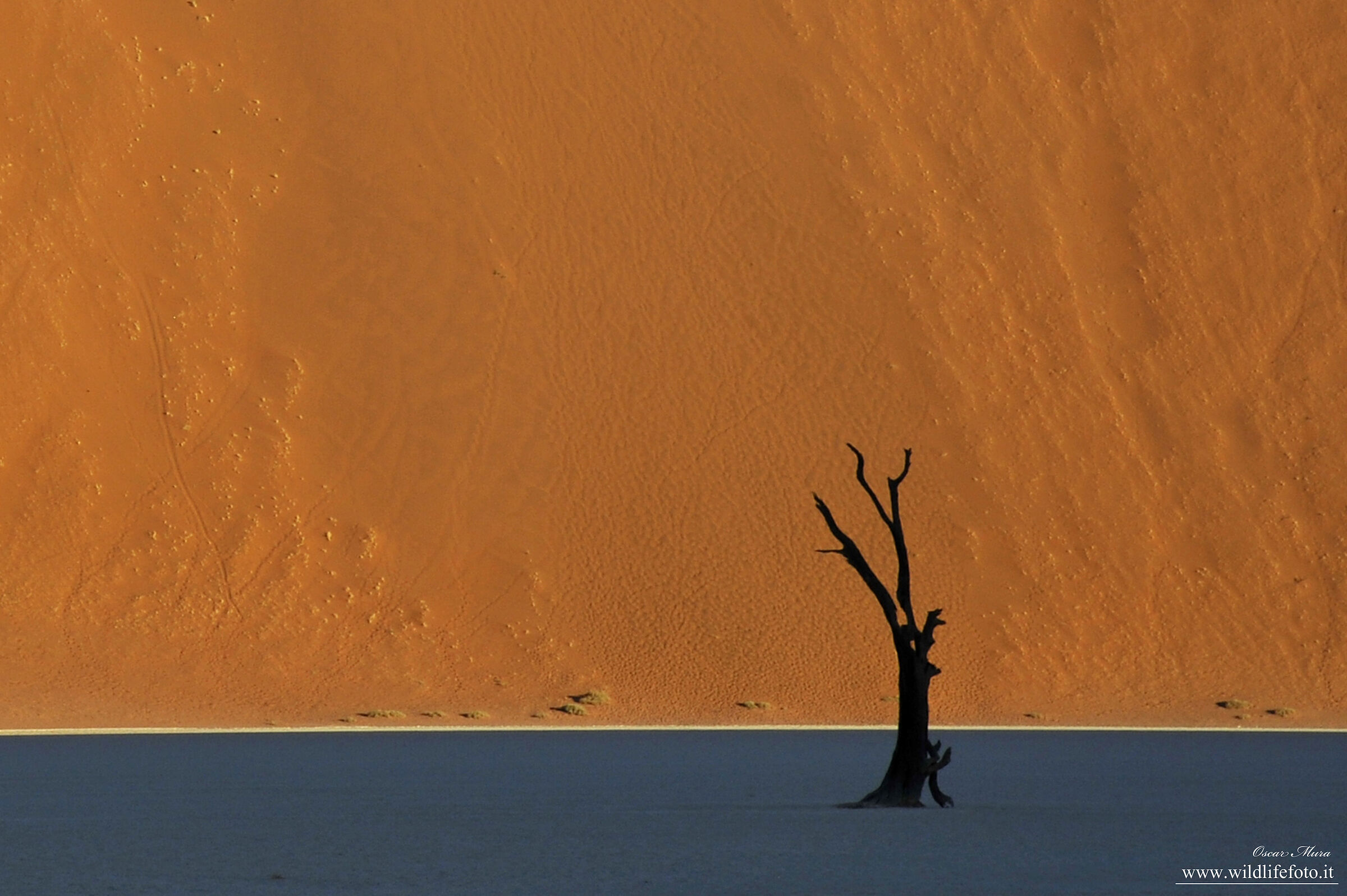 Namibia light line www.wildlifefoto.it workshop