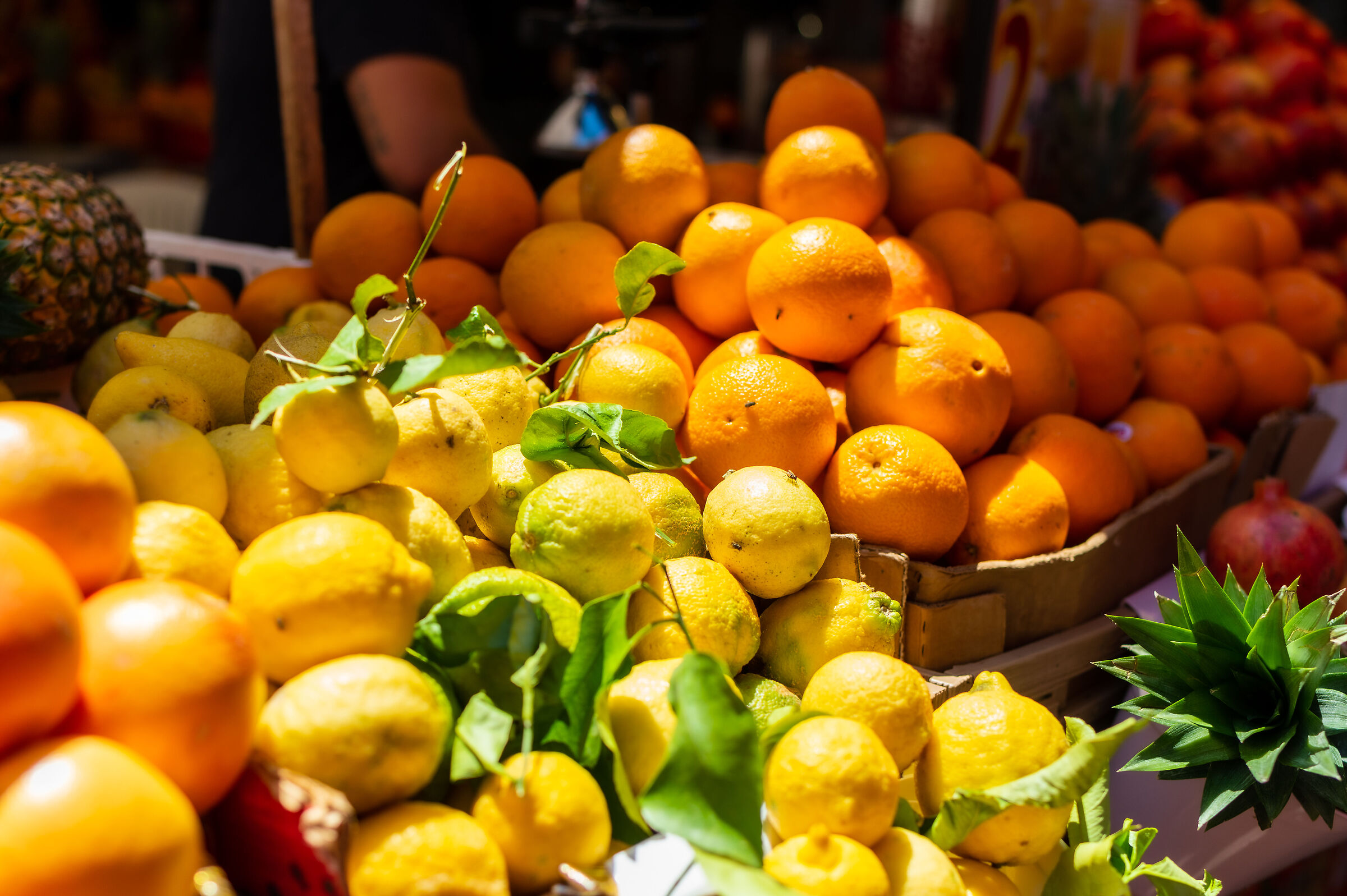Sicilian oranges
