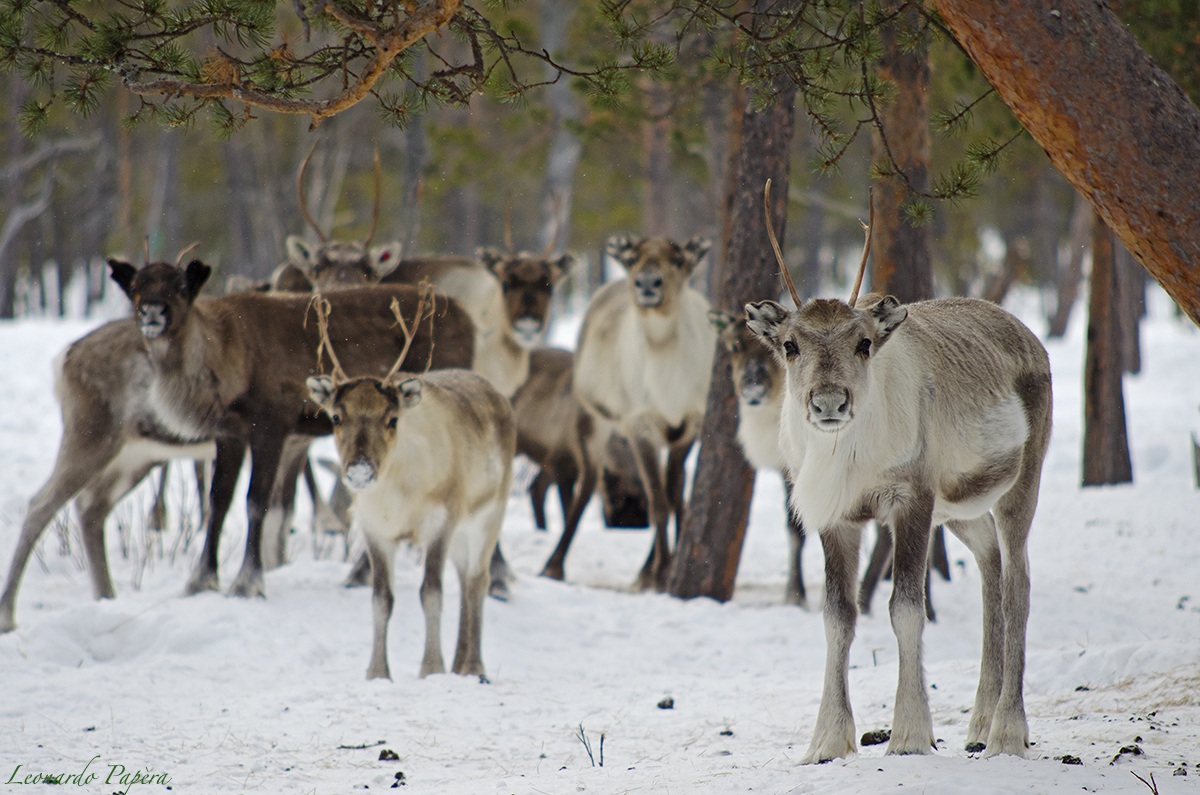 What are you looking at?!