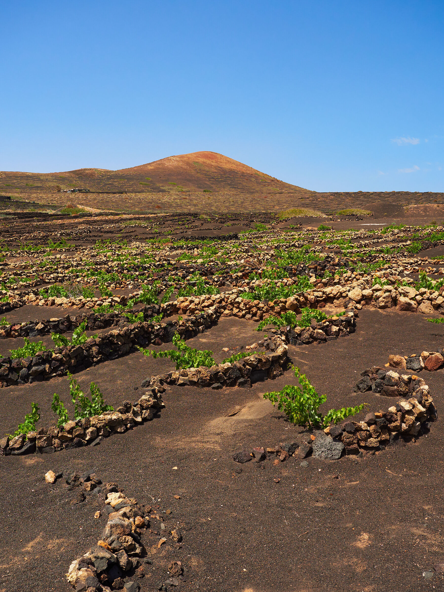 Lanzarote1 ·