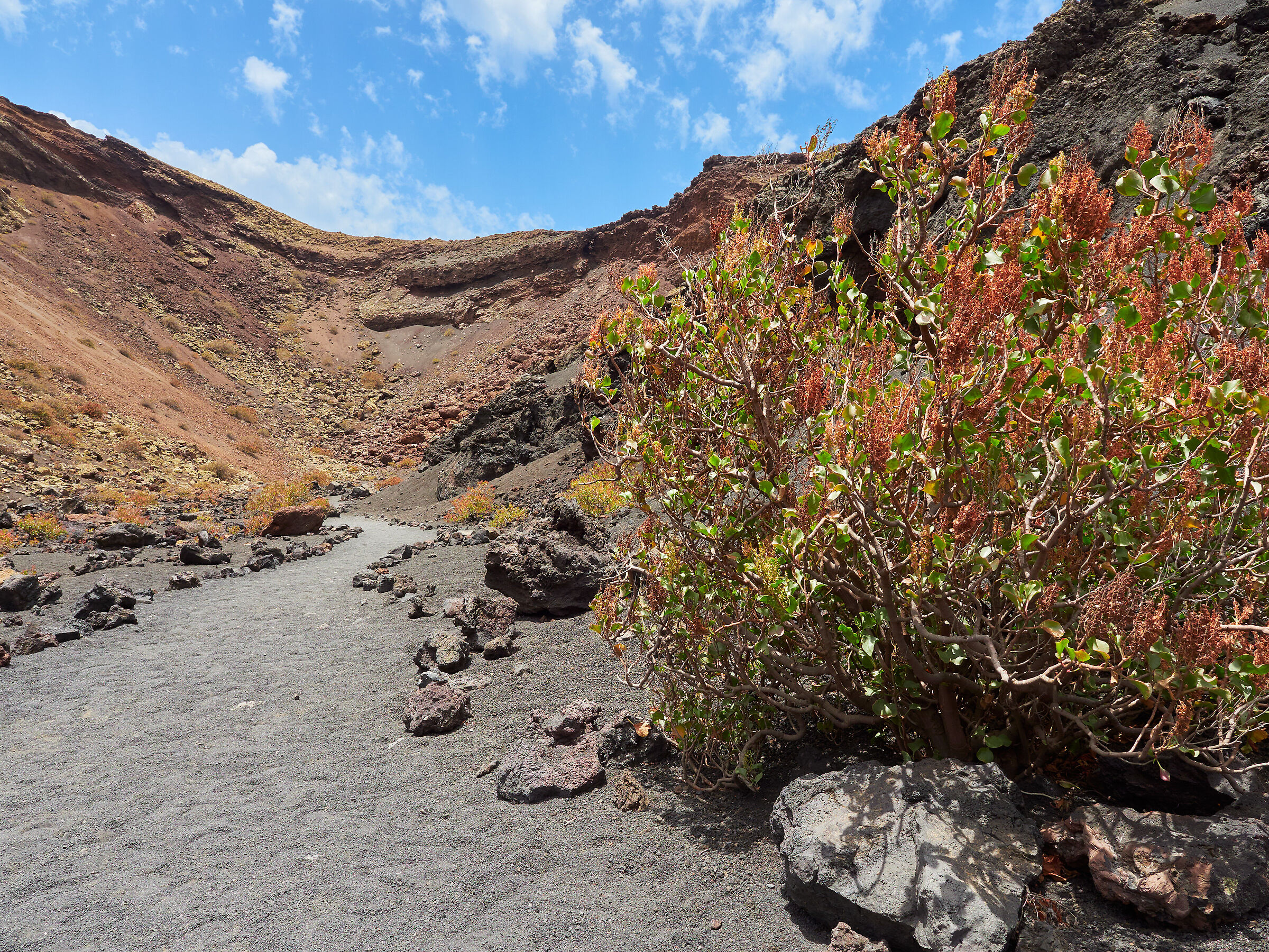 Lanzarote9