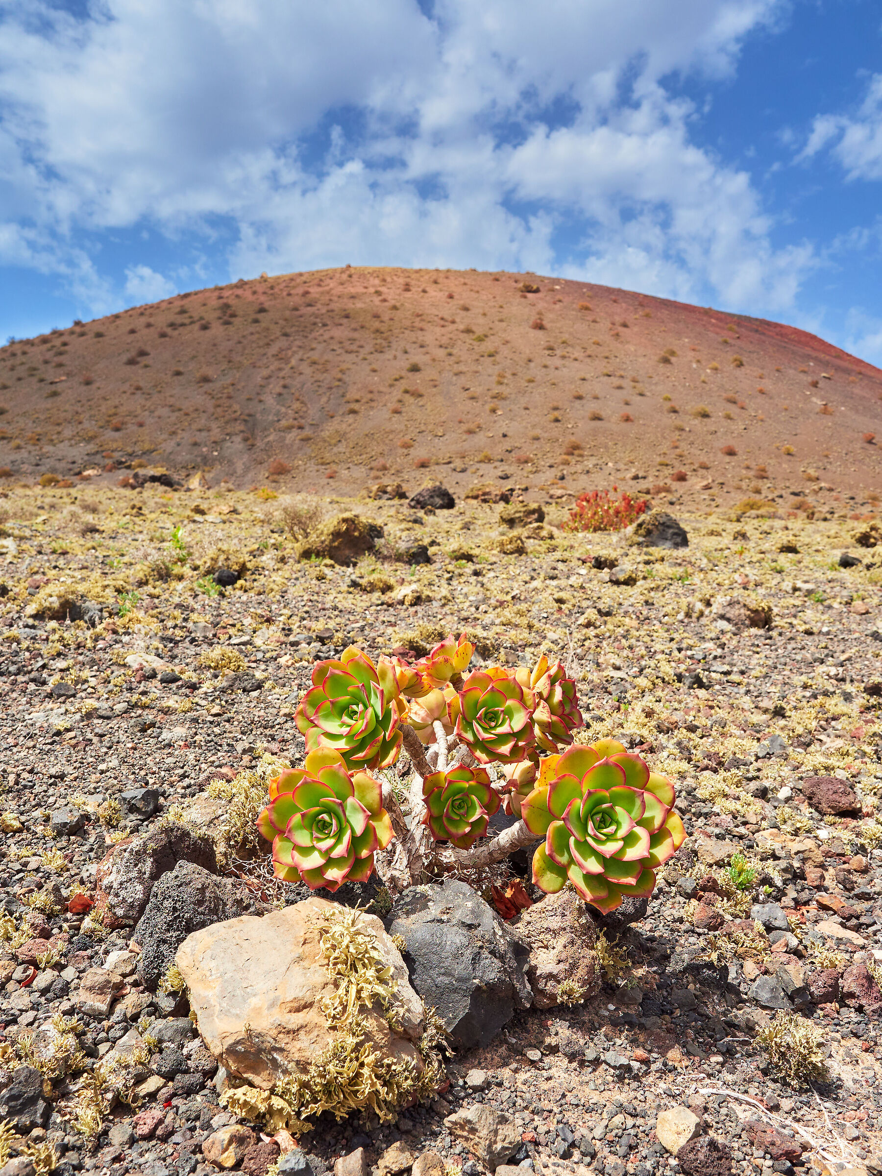 Lanzarote11 ·