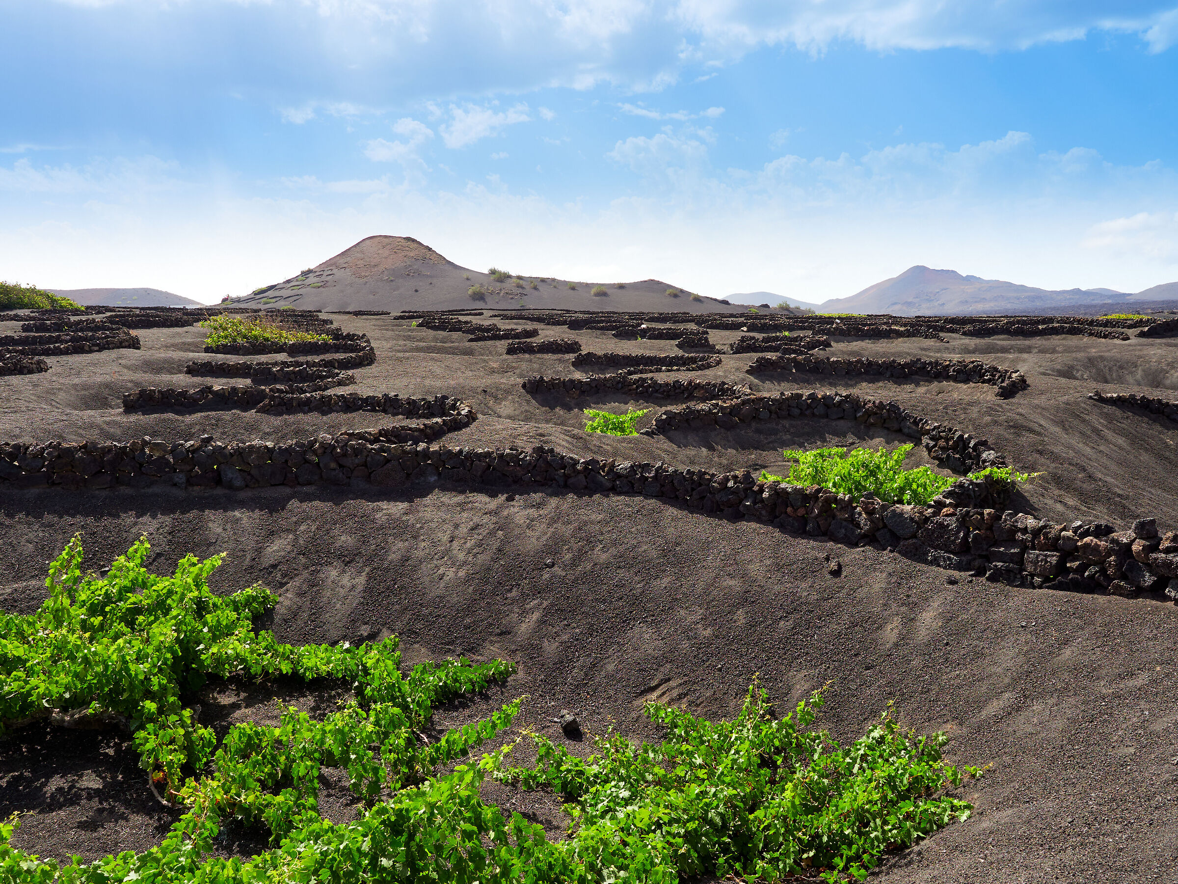 Lanzarote13 ·