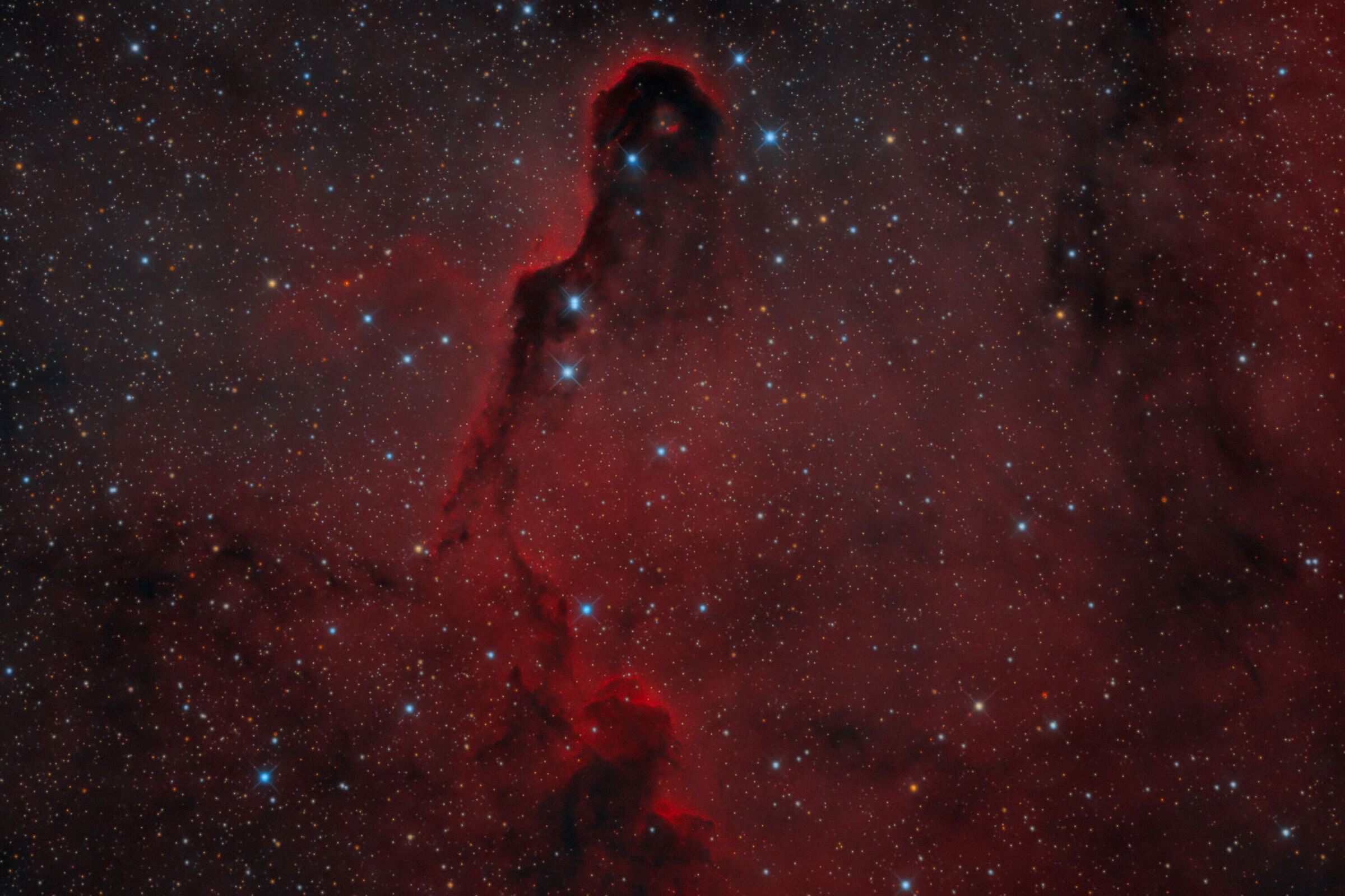 la proscide vdb142 (hoo con stelle rgb)