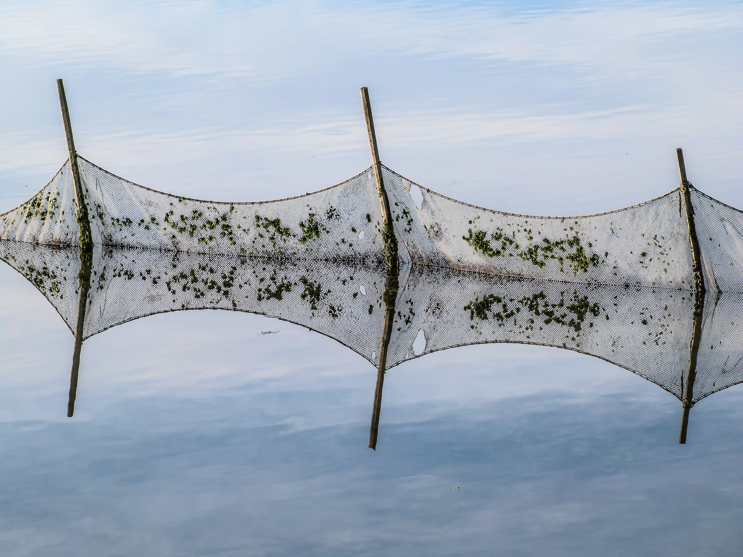 Reflections in the lagoon