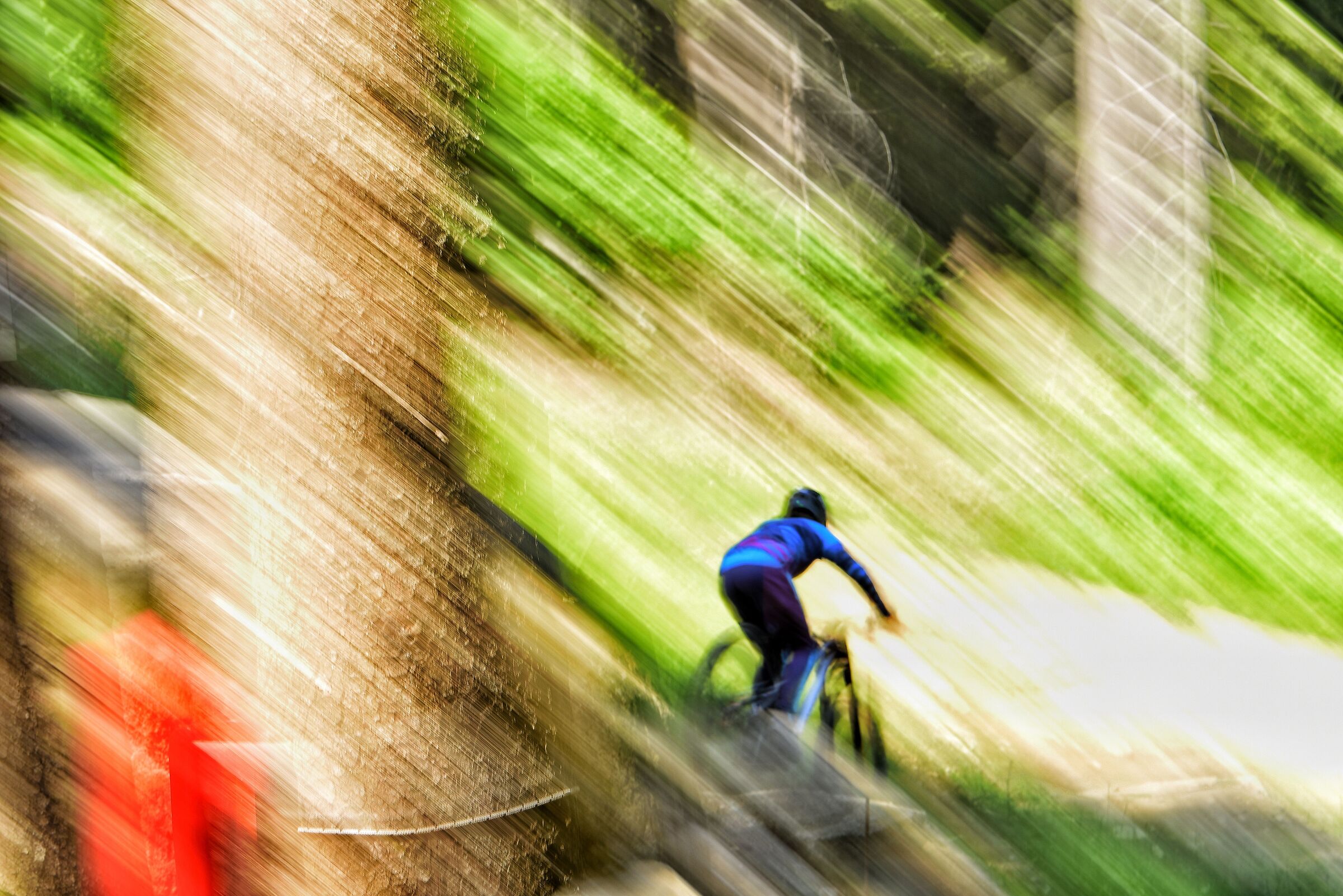 Daolasa -downhill
