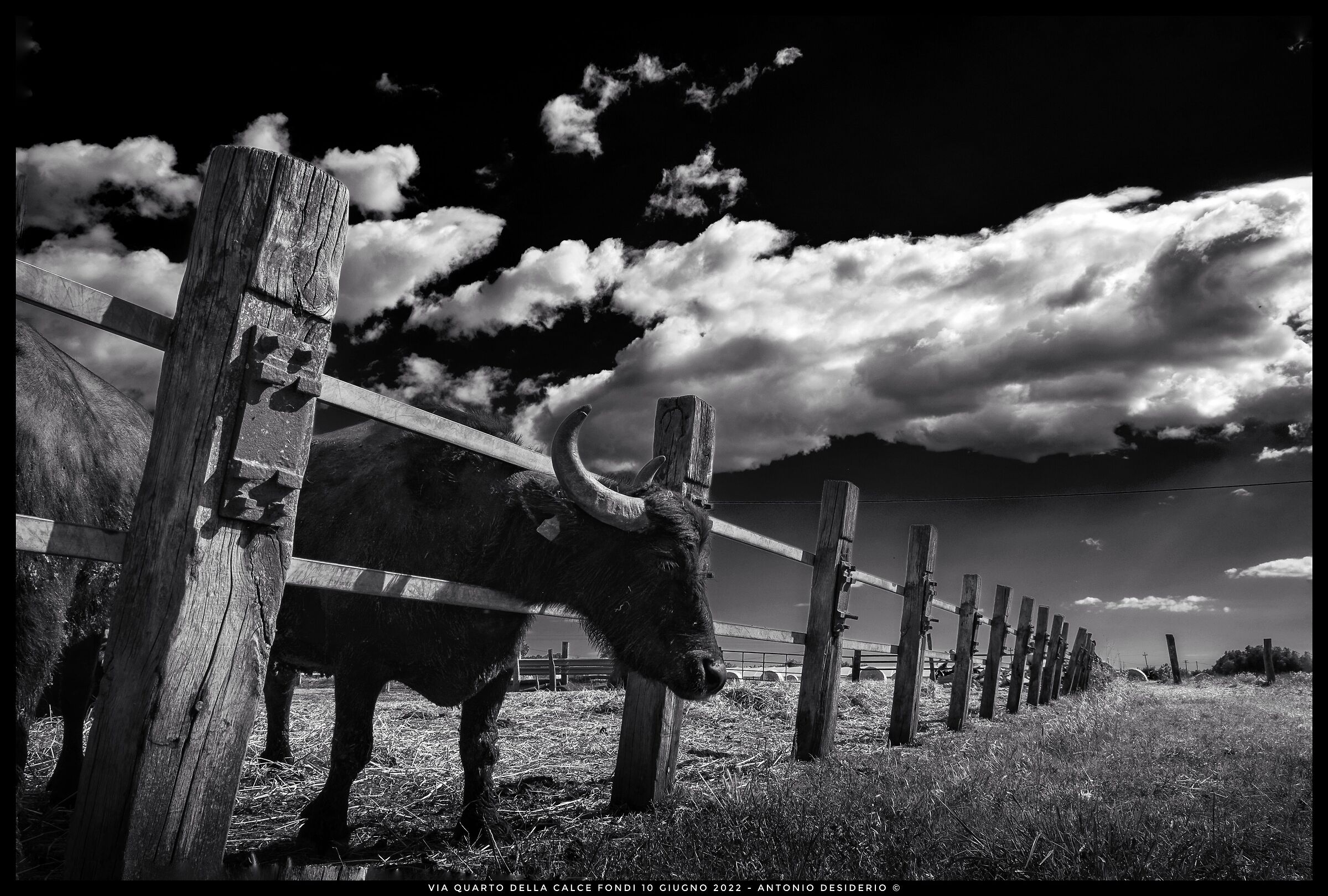 I put my face on it...