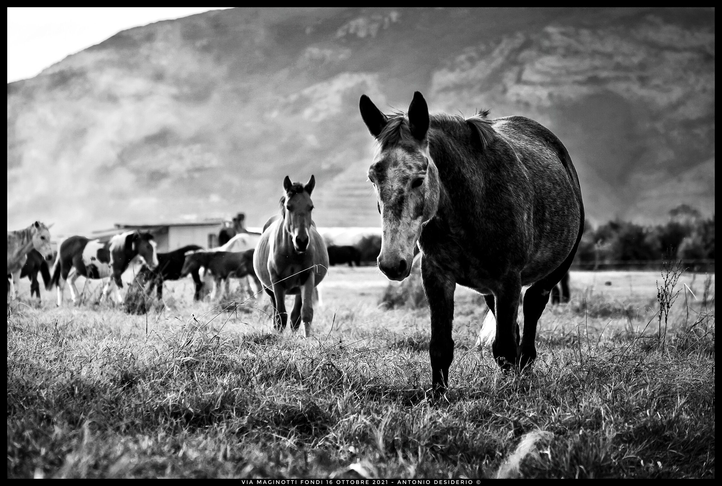 We are on horseback...