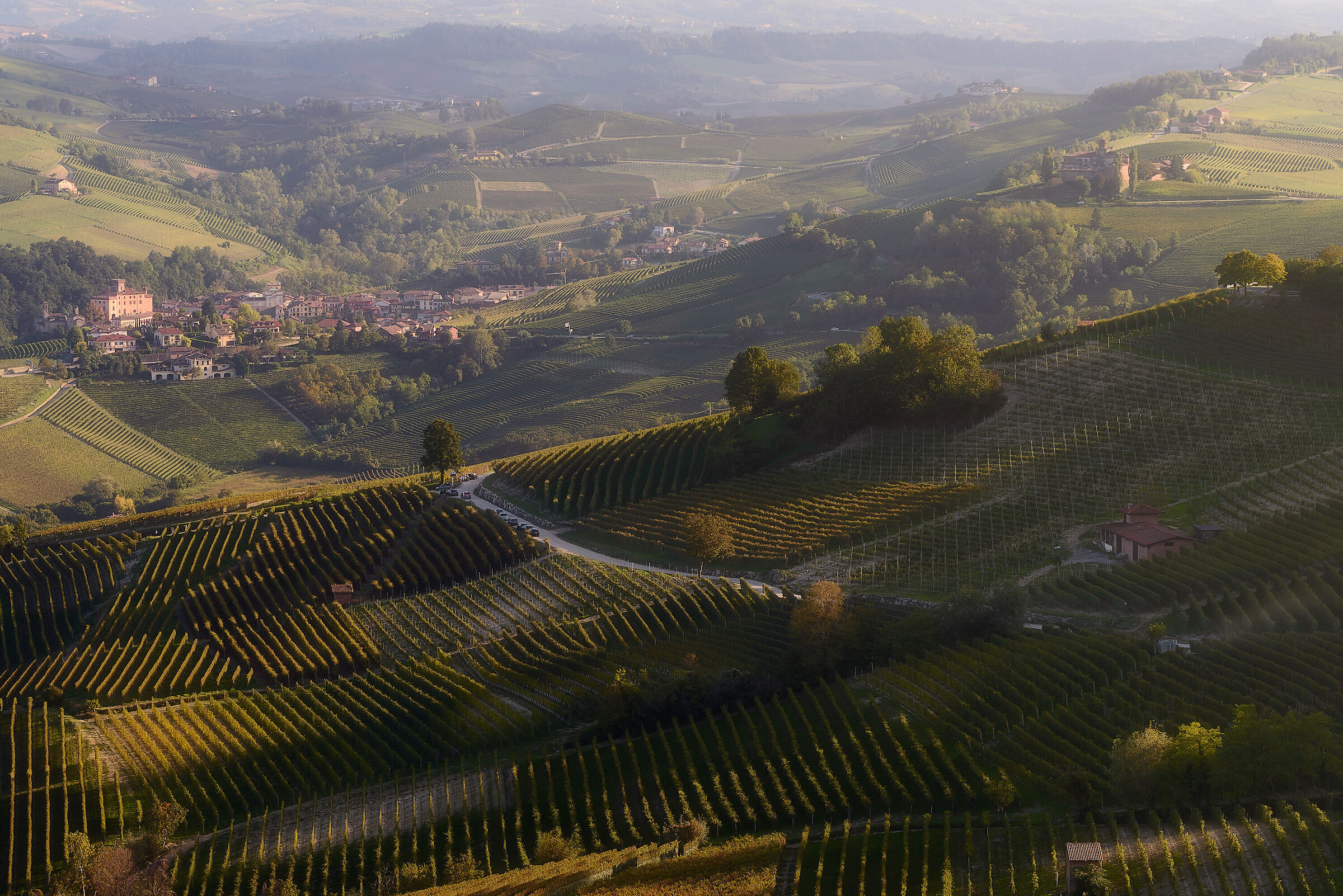 Colline di Barolo