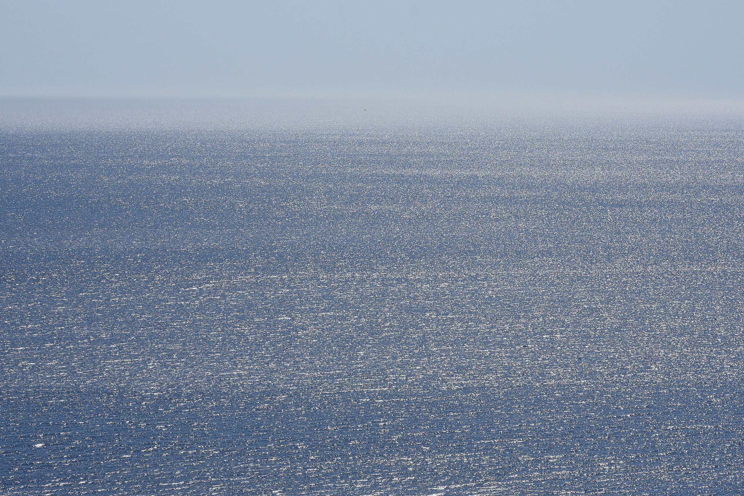 Sigma 85, 1.4 Art- 1/ 4.0 0 0, F. 8, ISO 500