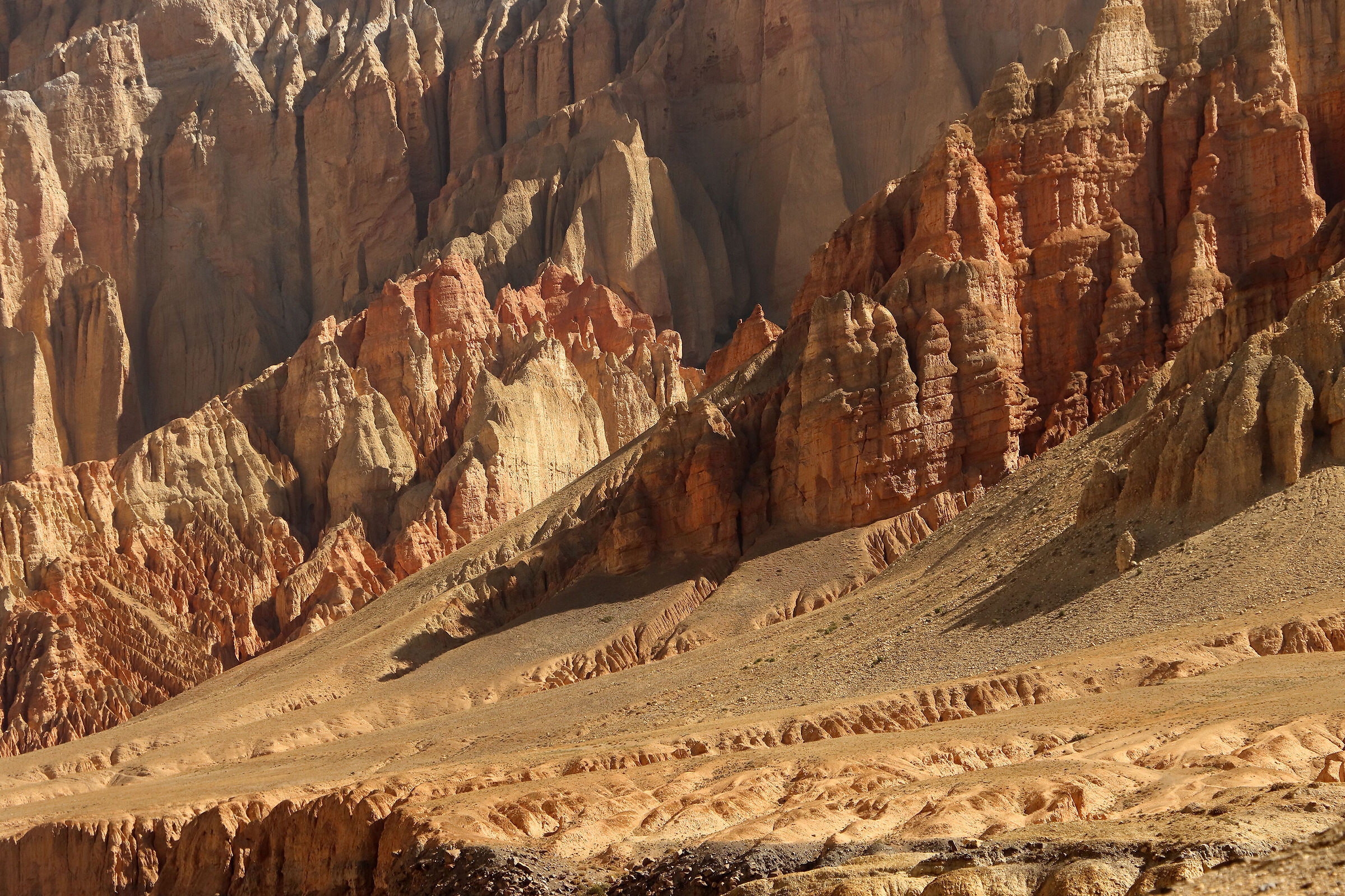 sulla pista di Dhakmar