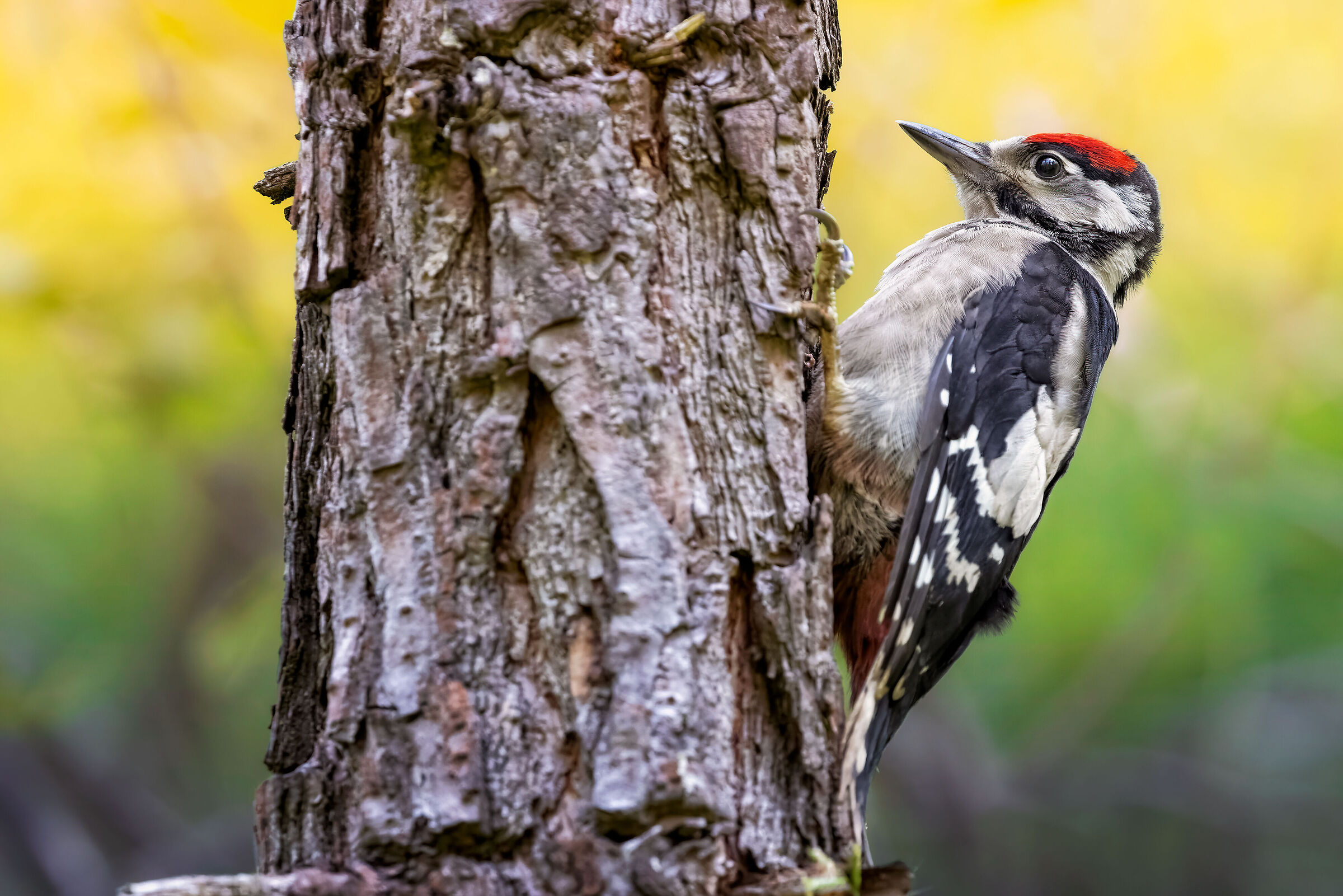 The first flight is never forgotten