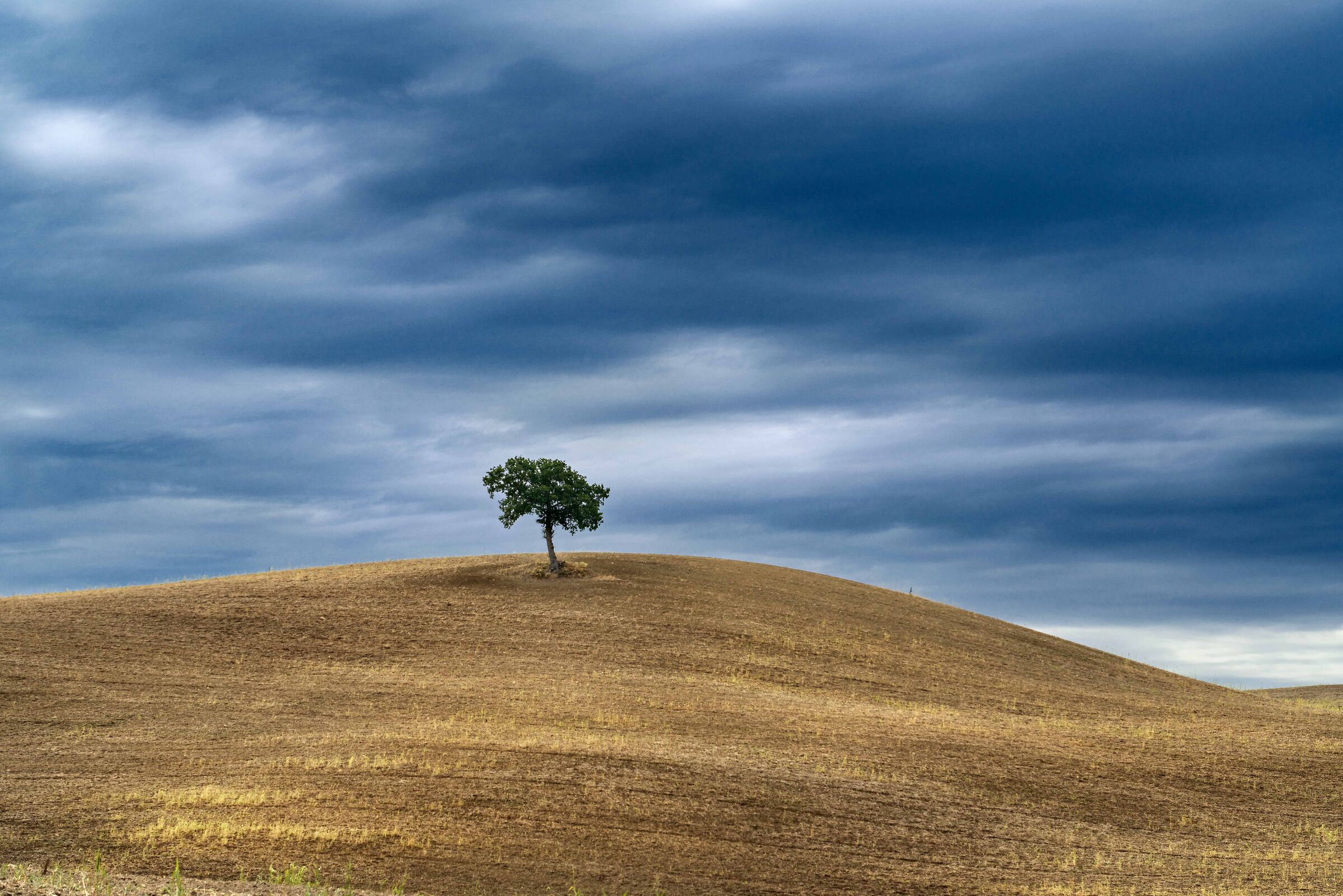 Only between earth and sky