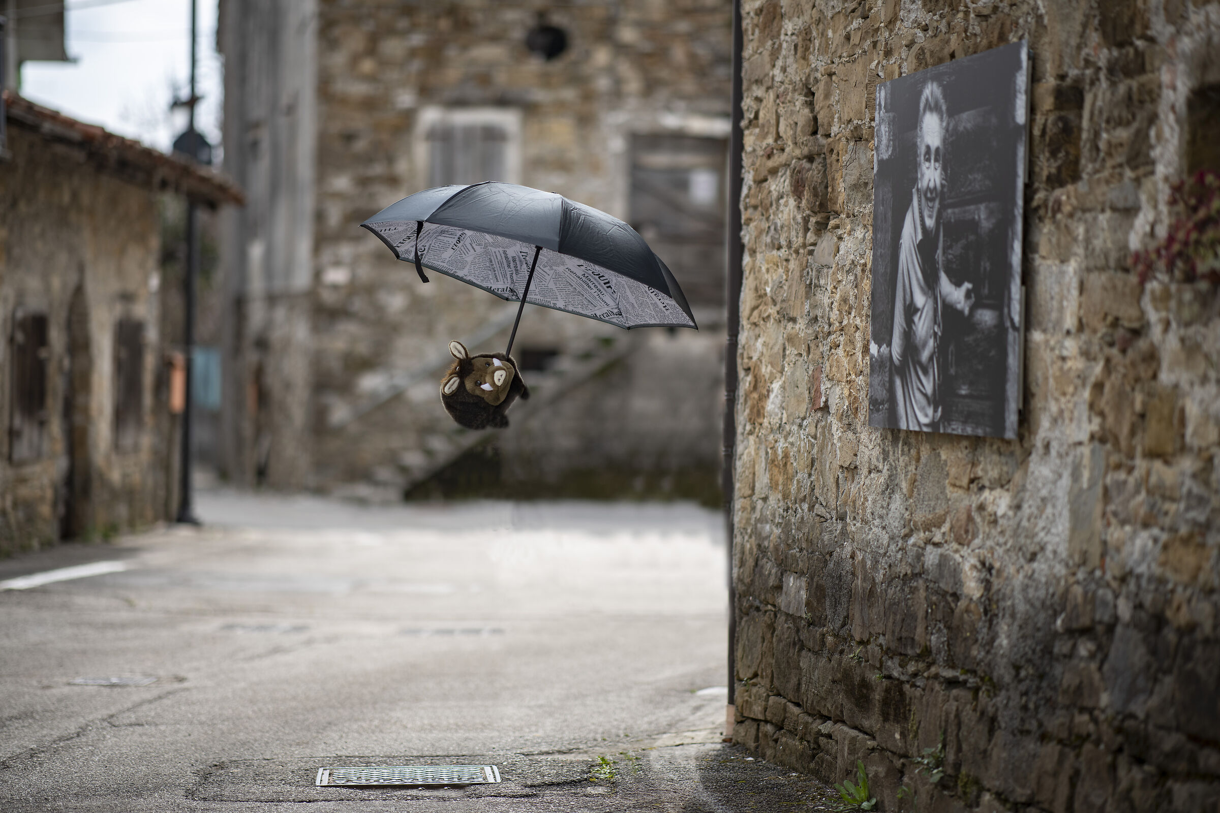 ''BuBu'' a spasso per Navarone