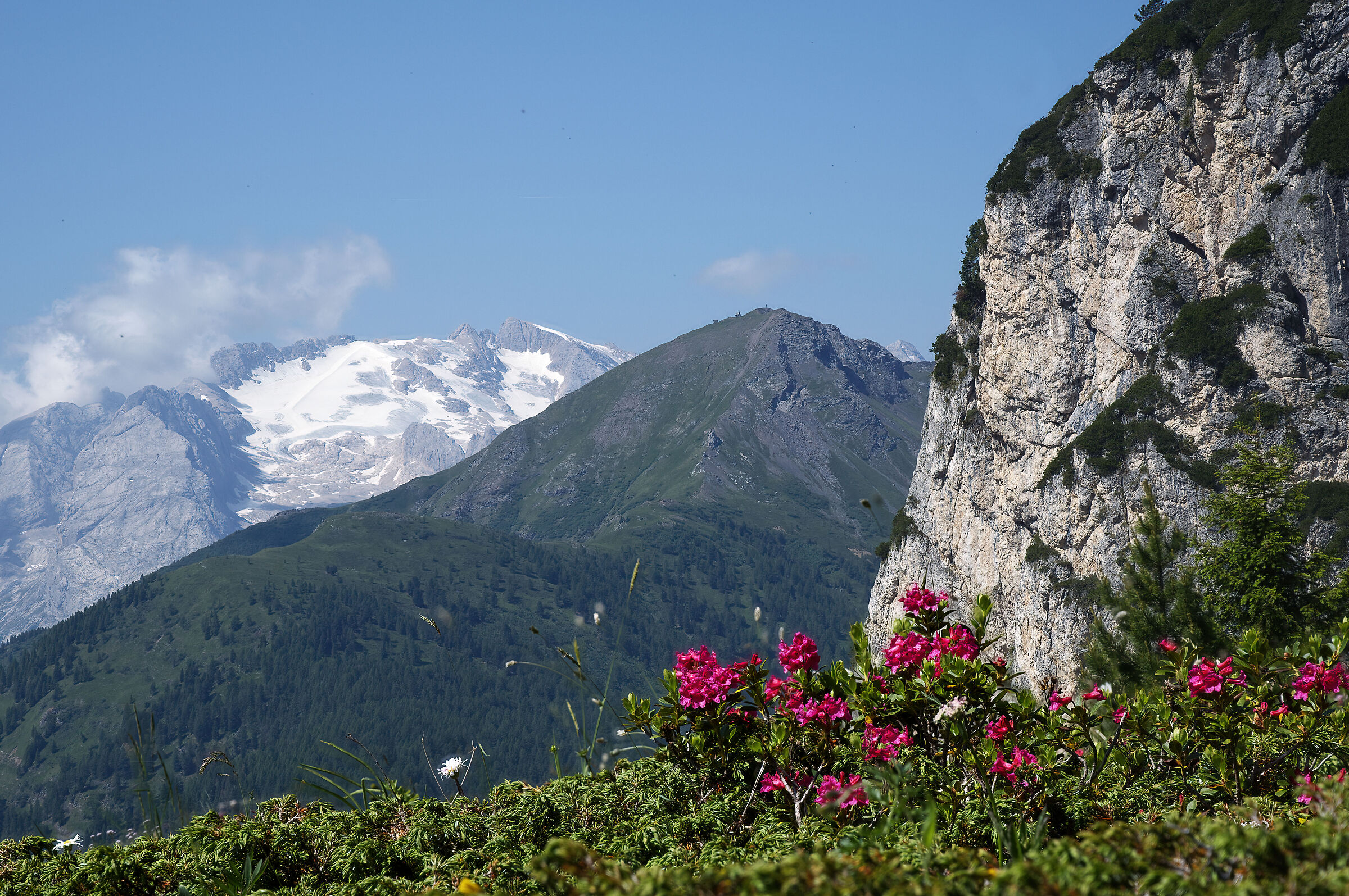 Marmolada dal Falzarego