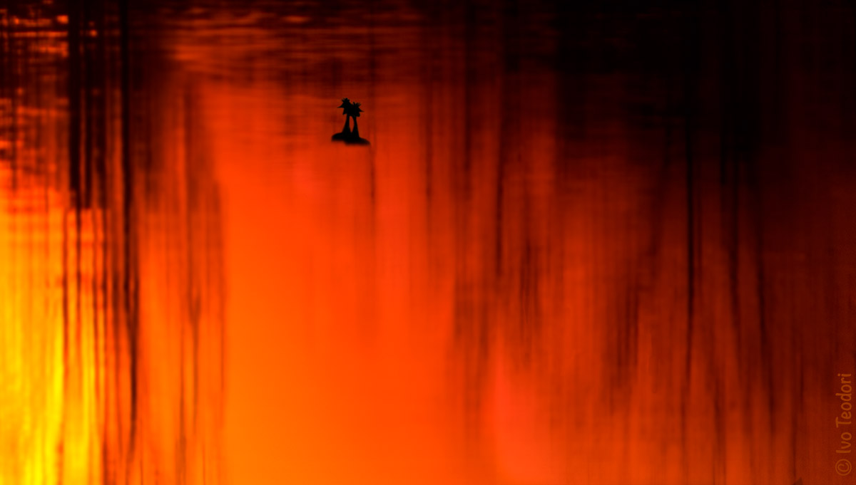 Come l'amore rosso...